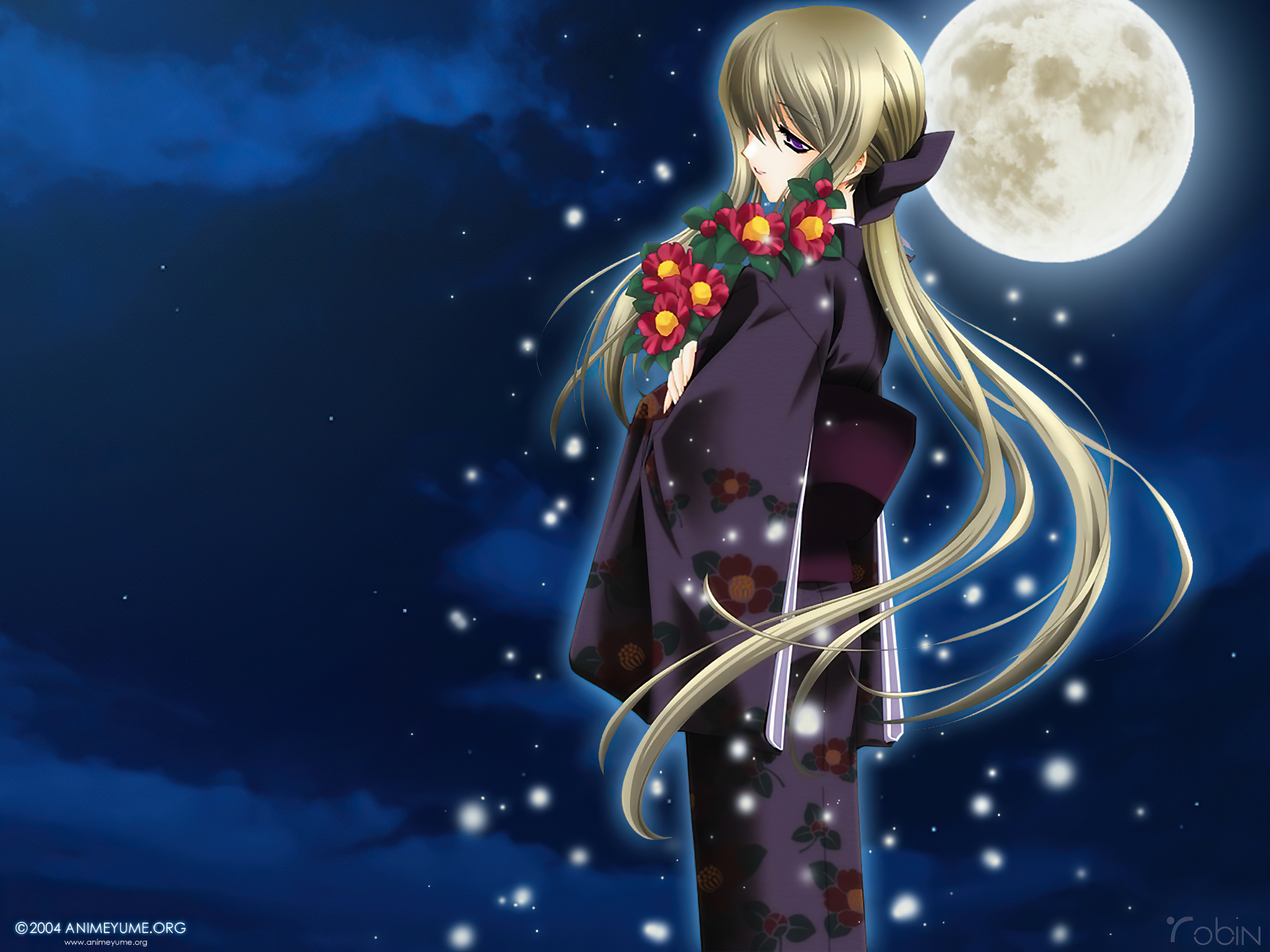anime, moonlight lady