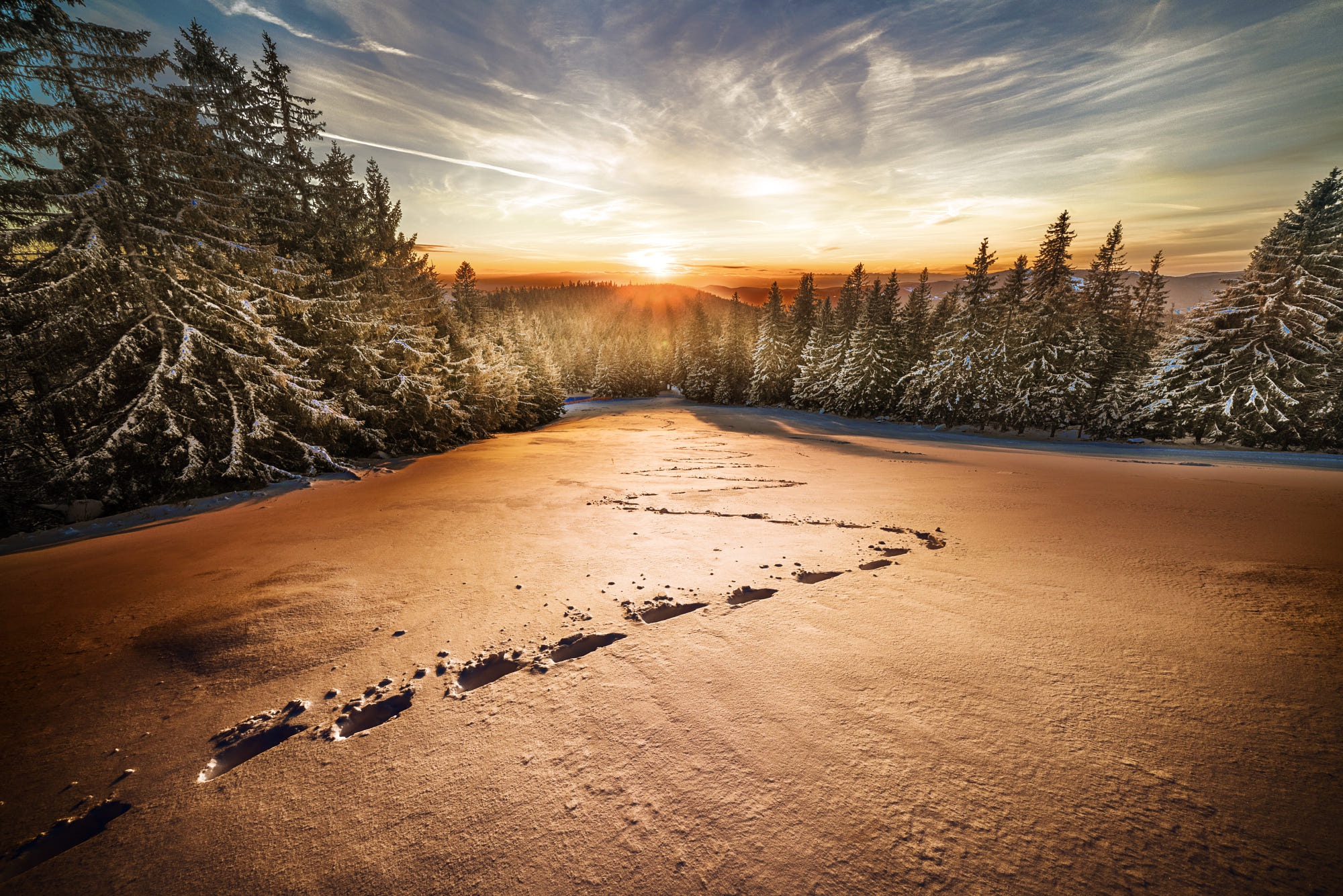 Download mobile wallpaper Winter, Nature, Snow, Sunrise, Earth, Spruce for free.