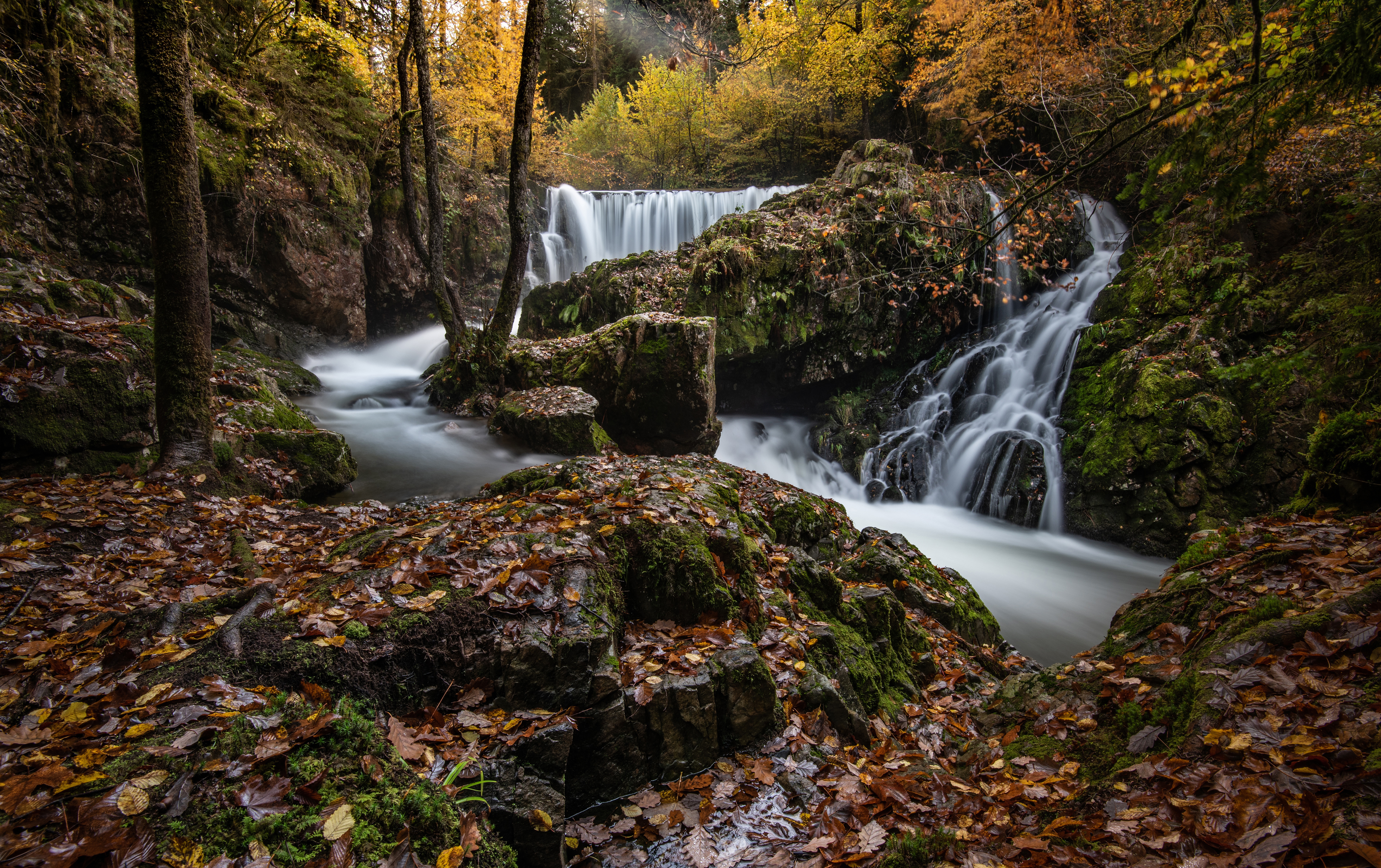 Handy-Wallpaper Herbst, Wasserfälle, Wasserfall, Wald, Fluss, Strom, Erde/natur kostenlos herunterladen.