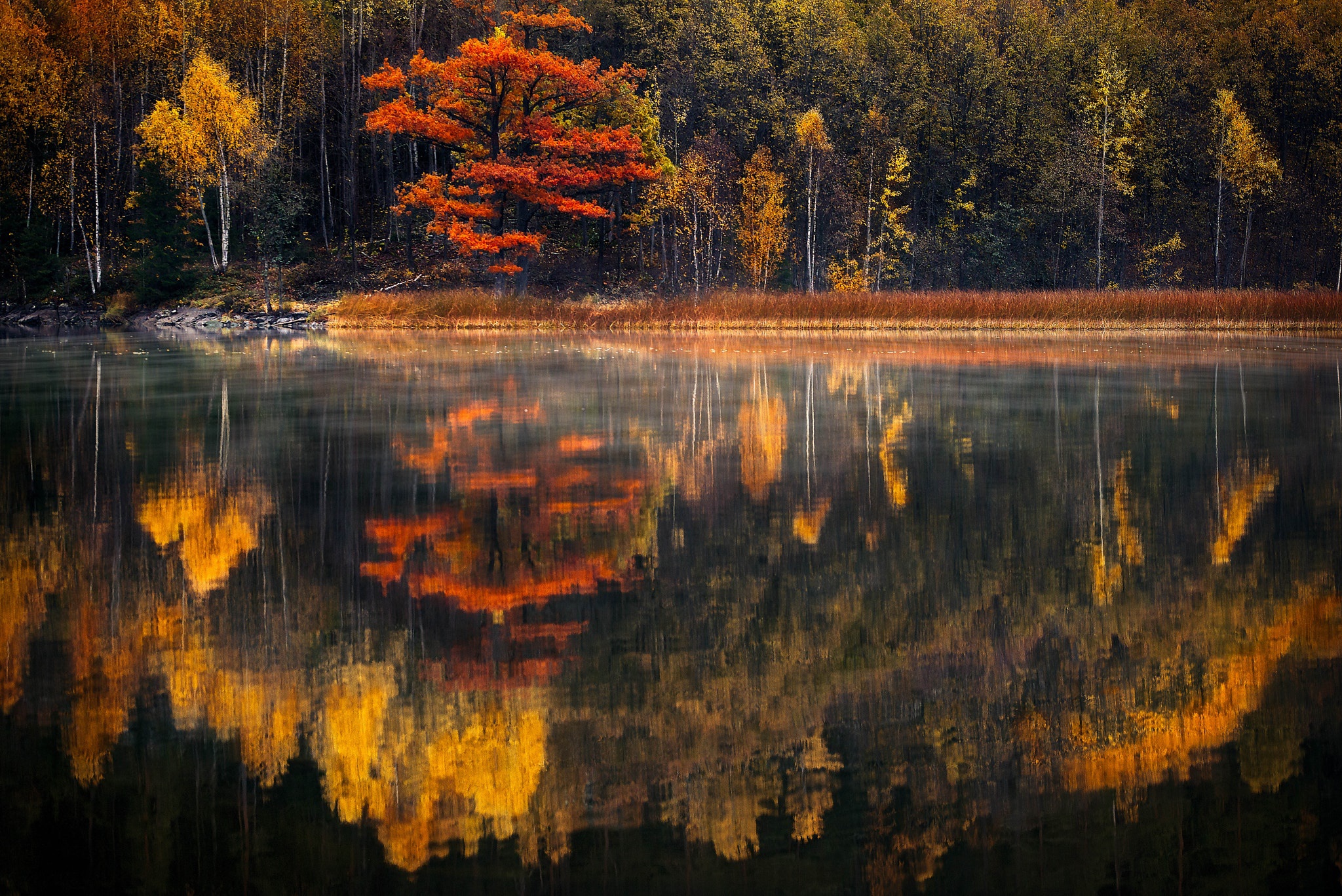 Скачать обои бесплатно Осень, Отражение, Земля/природа картинка на рабочий стол ПК