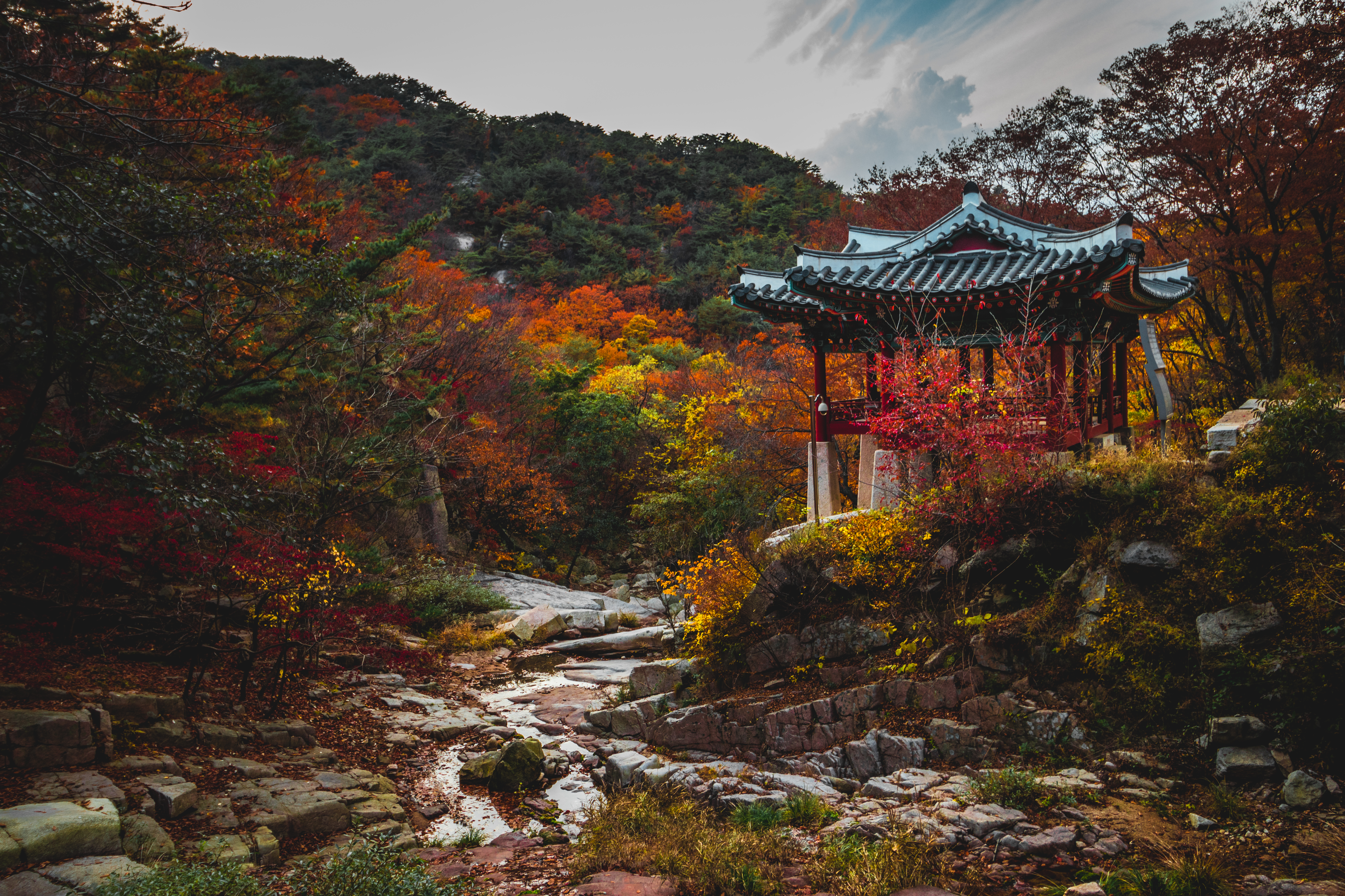 Скачать обои бесплатно Пагода, Природа, Деревья, Сад, Осень картинка на рабочий стол ПК