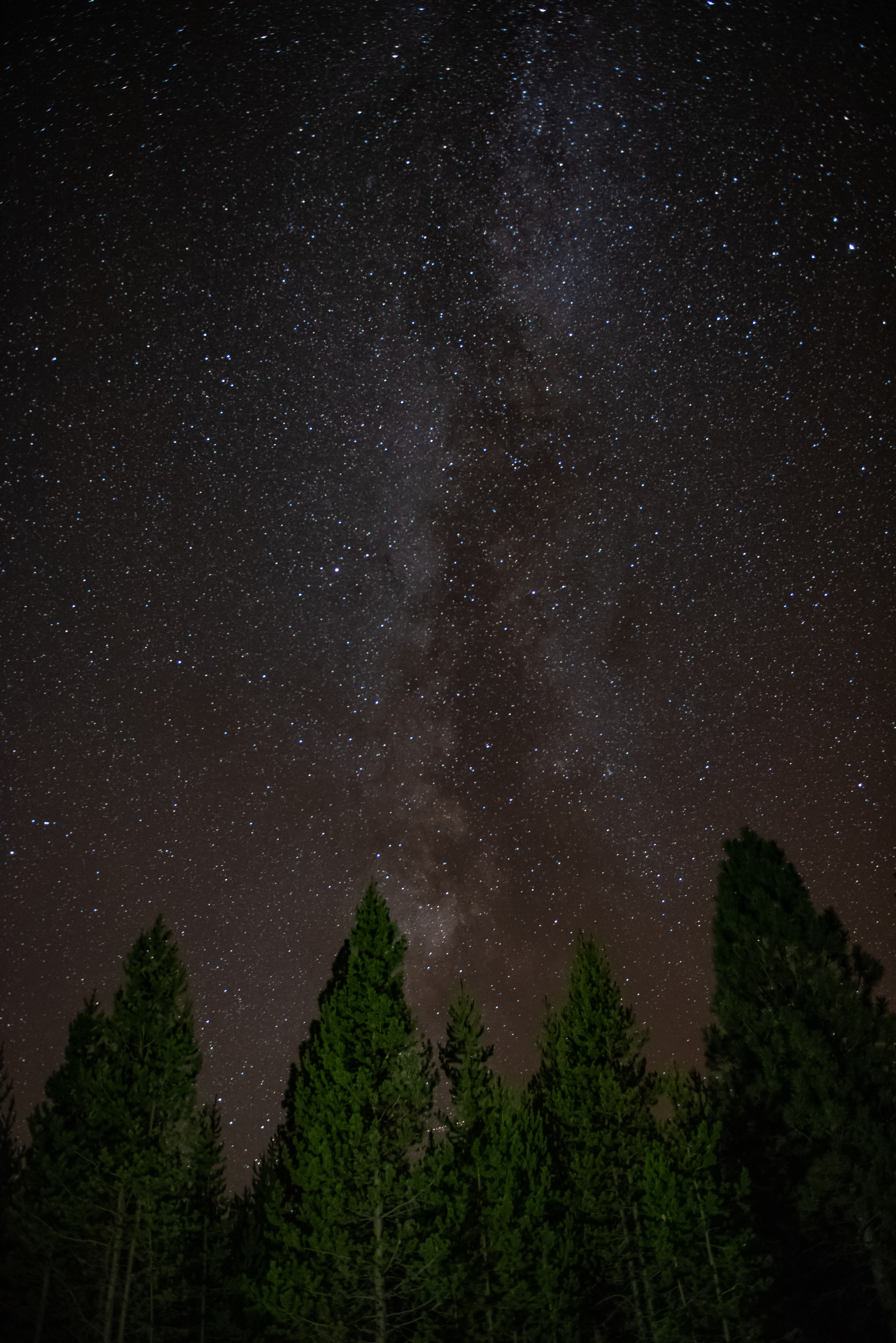 Download mobile wallpaper Trees, Nature, Stars, Starry Sky for free.