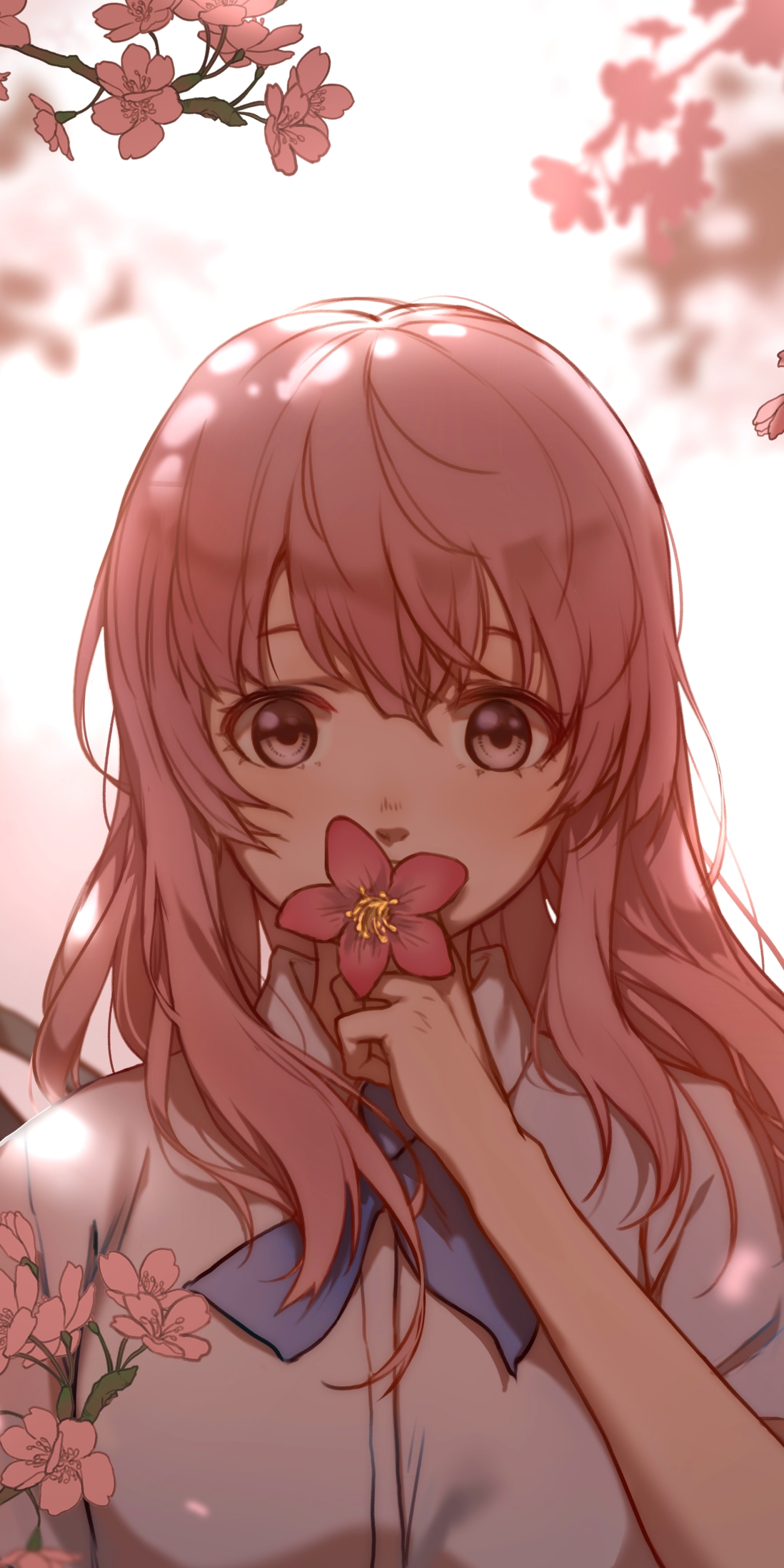 Download mobile wallpaper Anime, Cherry Blossom, Pink Hair, Shouko Nishimiya, Koe No Katachi for free.