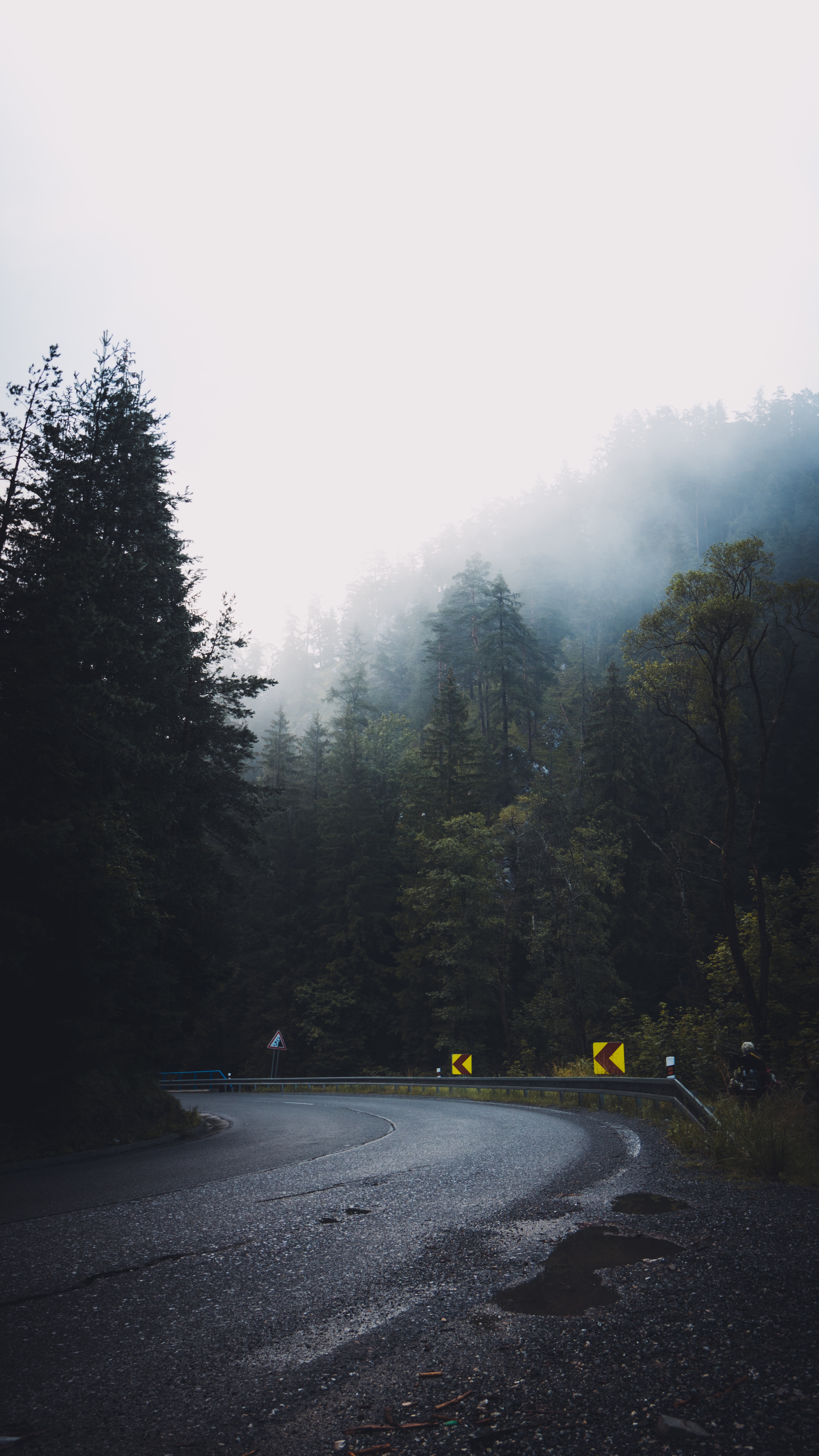 fog, asphalt, trees, nature, road, turn, forest