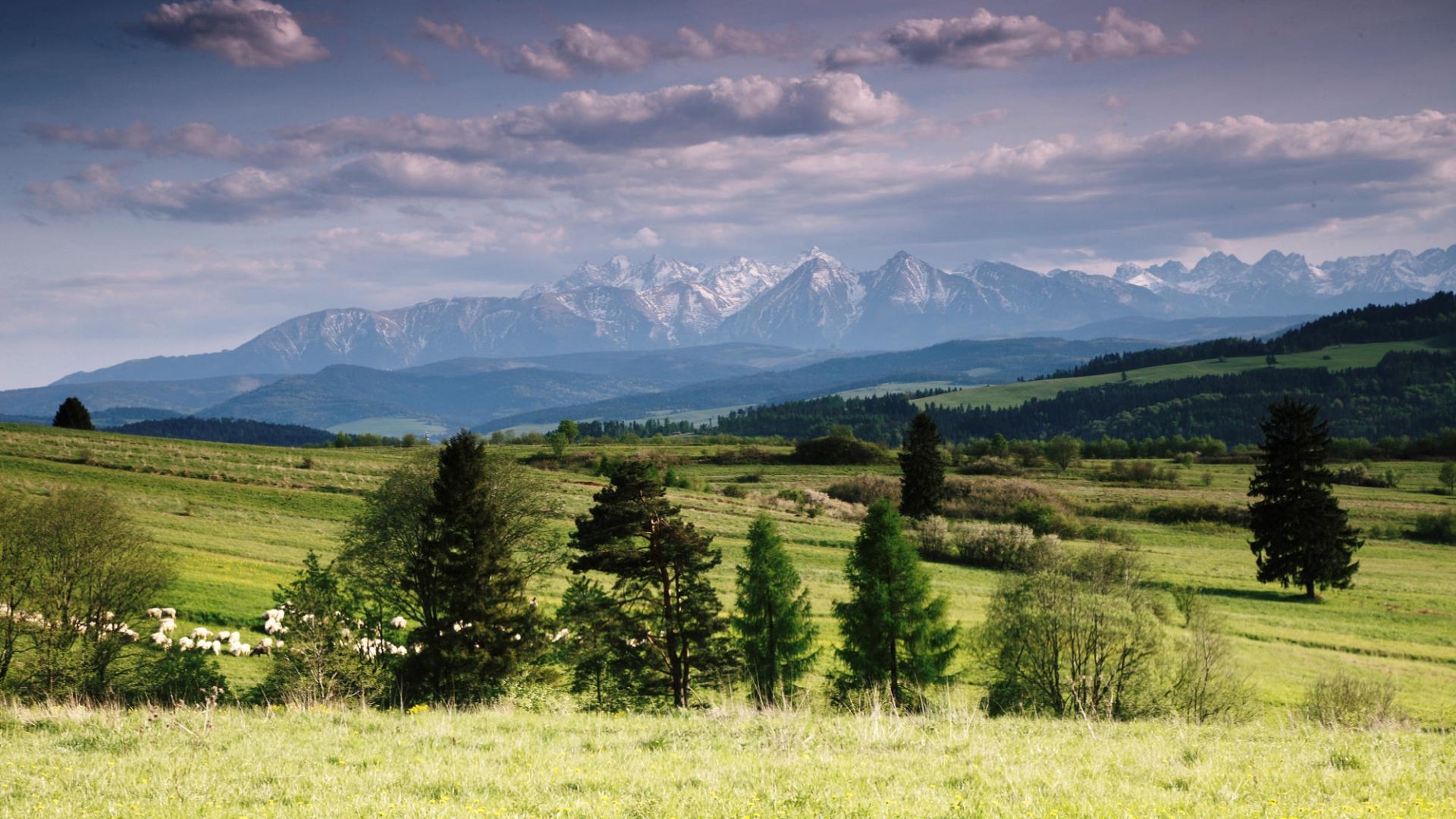 Descarga gratis la imagen Paisaje, Tierra/naturaleza en el escritorio de tu PC