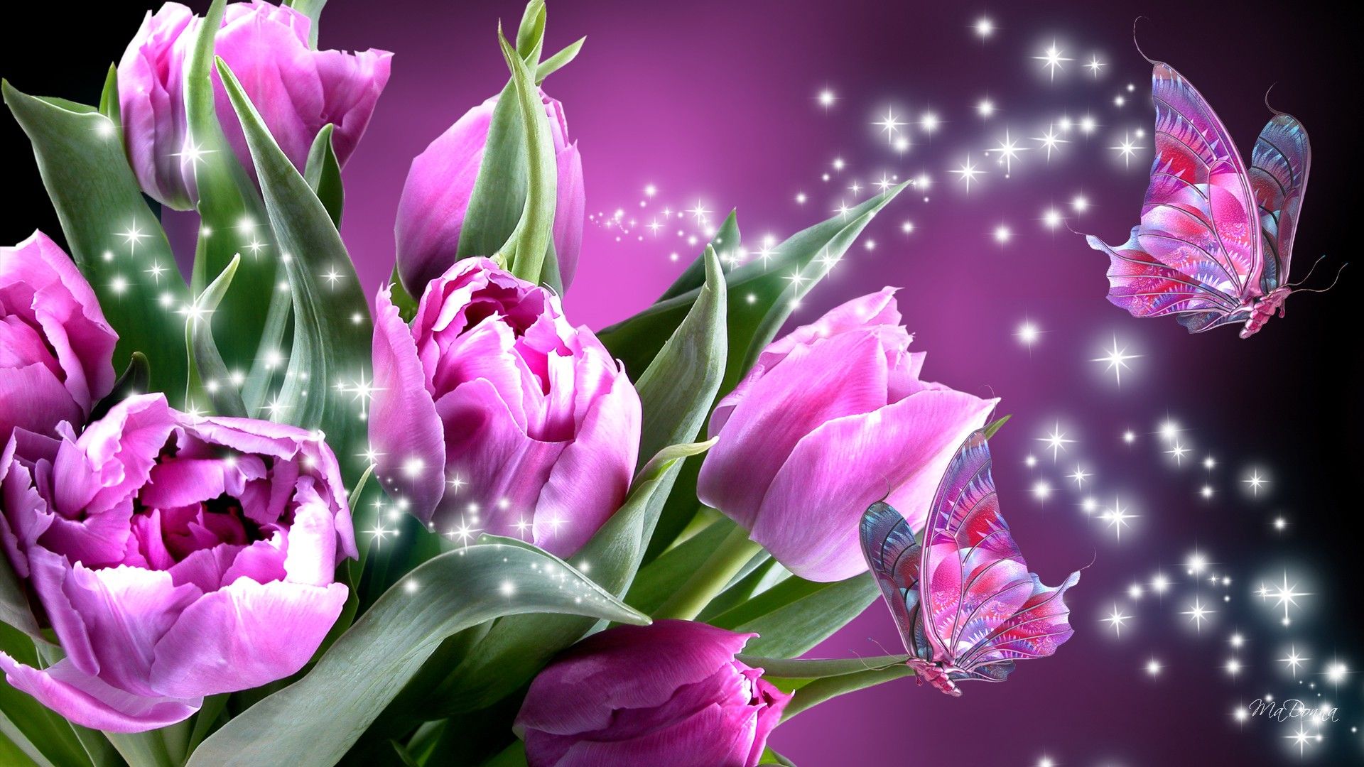 Download mobile wallpaper Flowers, Flower, Earth, Butterfly, Tulip, Purple Flower, Sparkles for free.