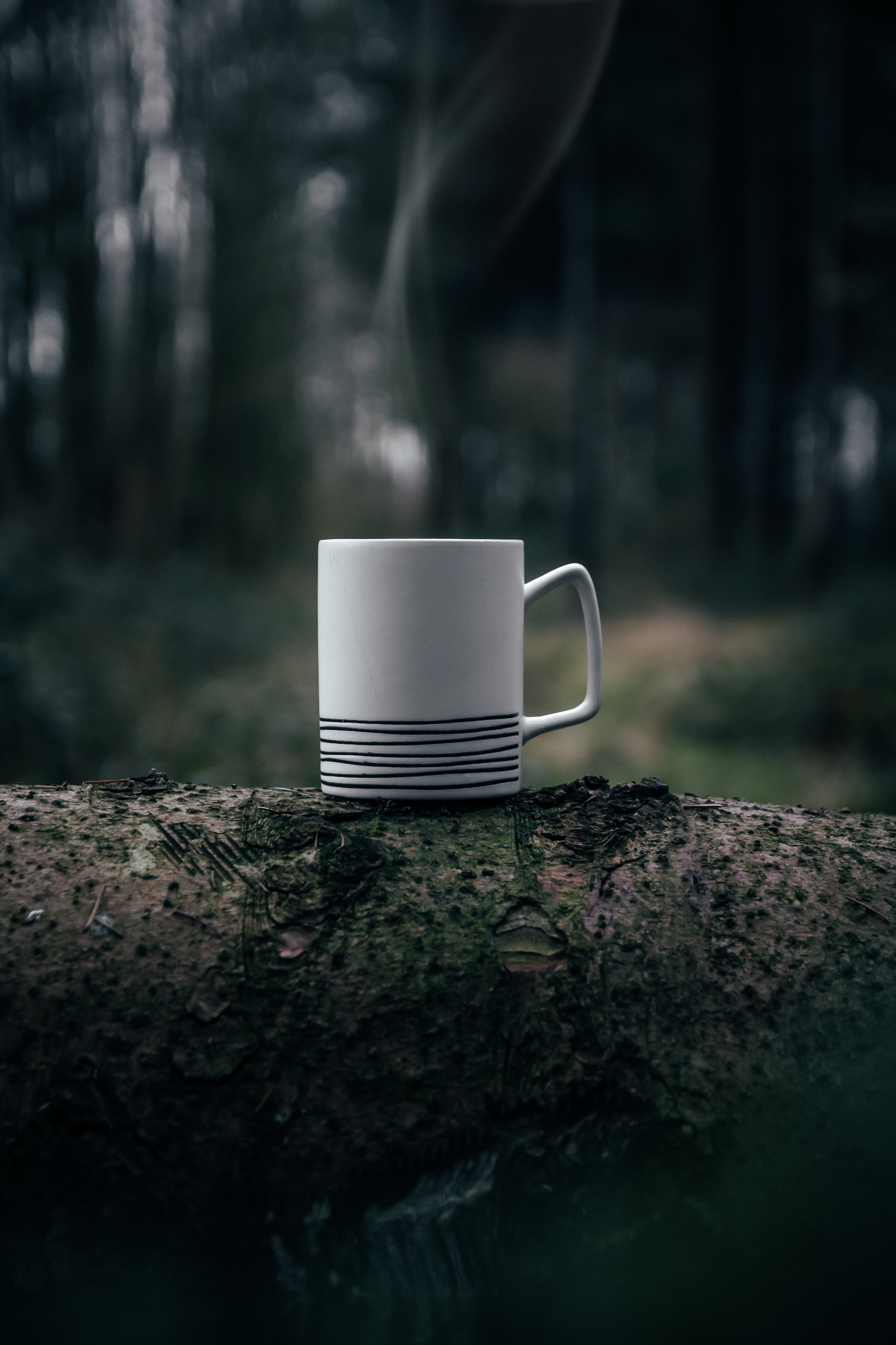 Mobile wallpaper cup, blur, macro, miscellanea, miscellaneous, smooth, moss, steam, mug