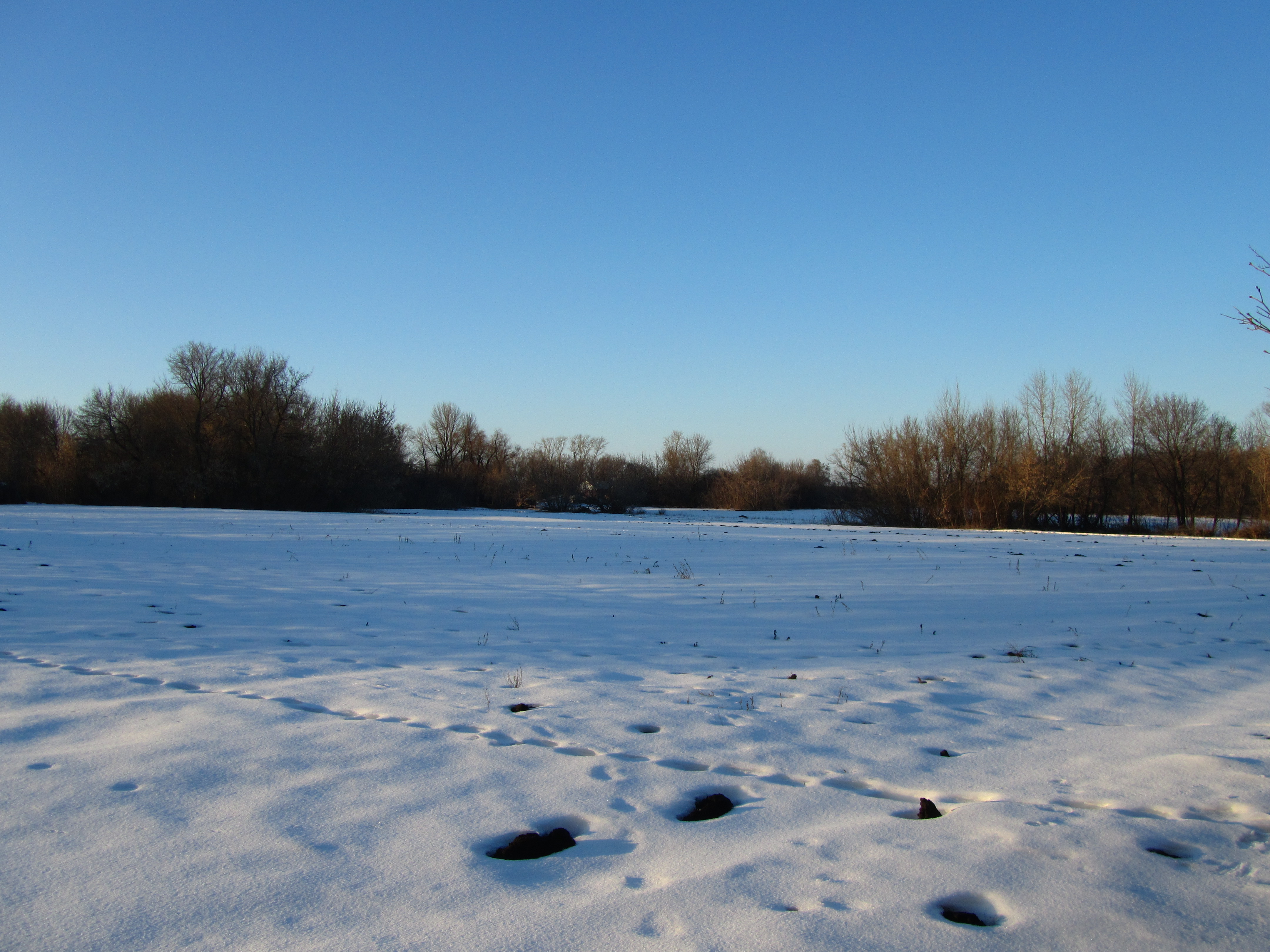 Téléchargez gratuitement l'image Hiver, Terre/nature sur le bureau de votre PC