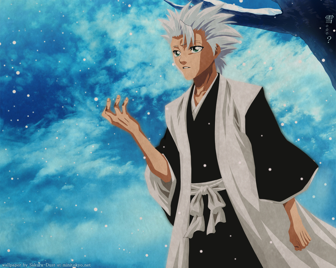 Download mobile wallpaper Anime, Bleach, Tōshirō Hitsugaya for free.