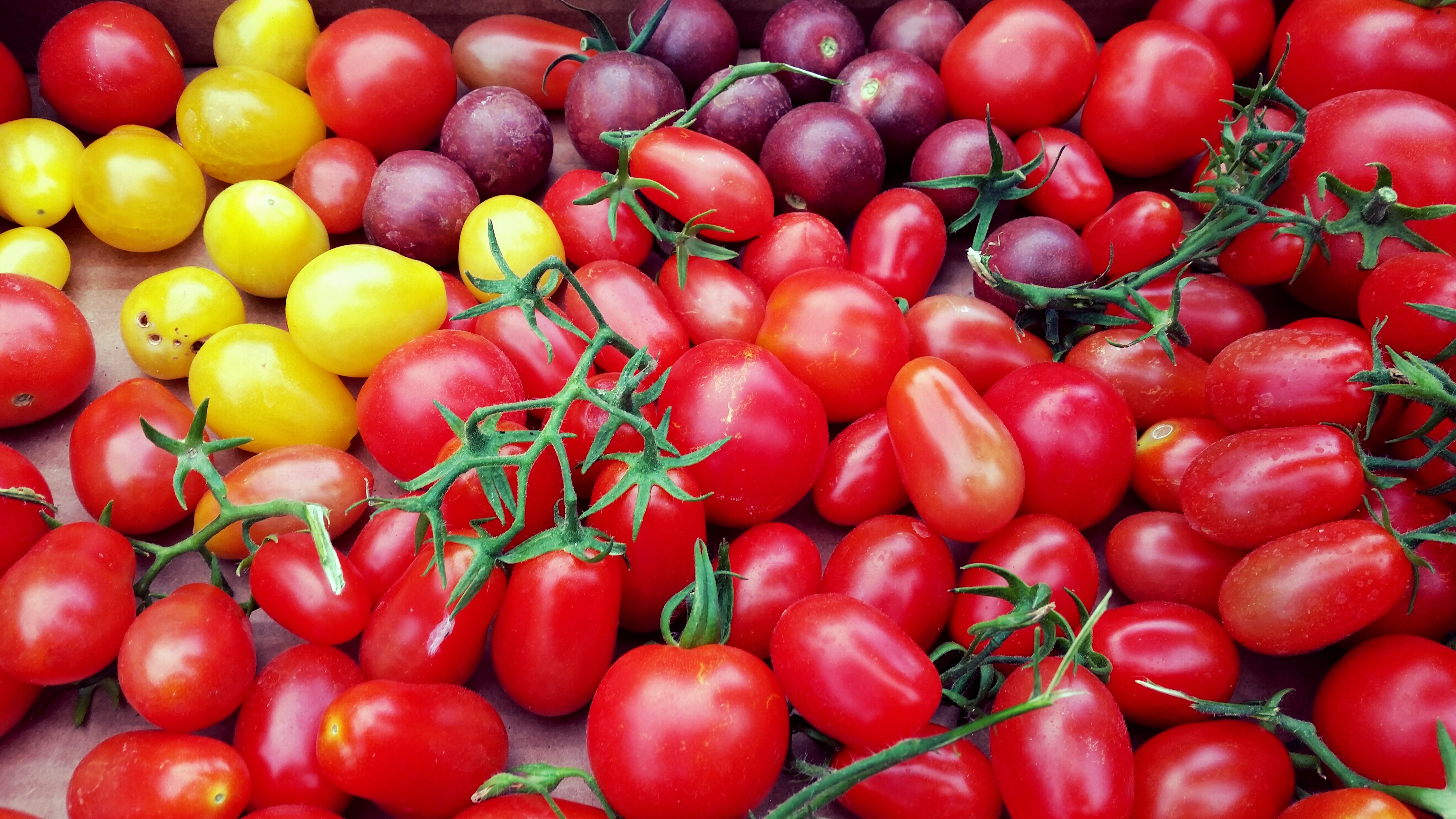 food, cherry, vegetables, tomatoes, variety, varieties