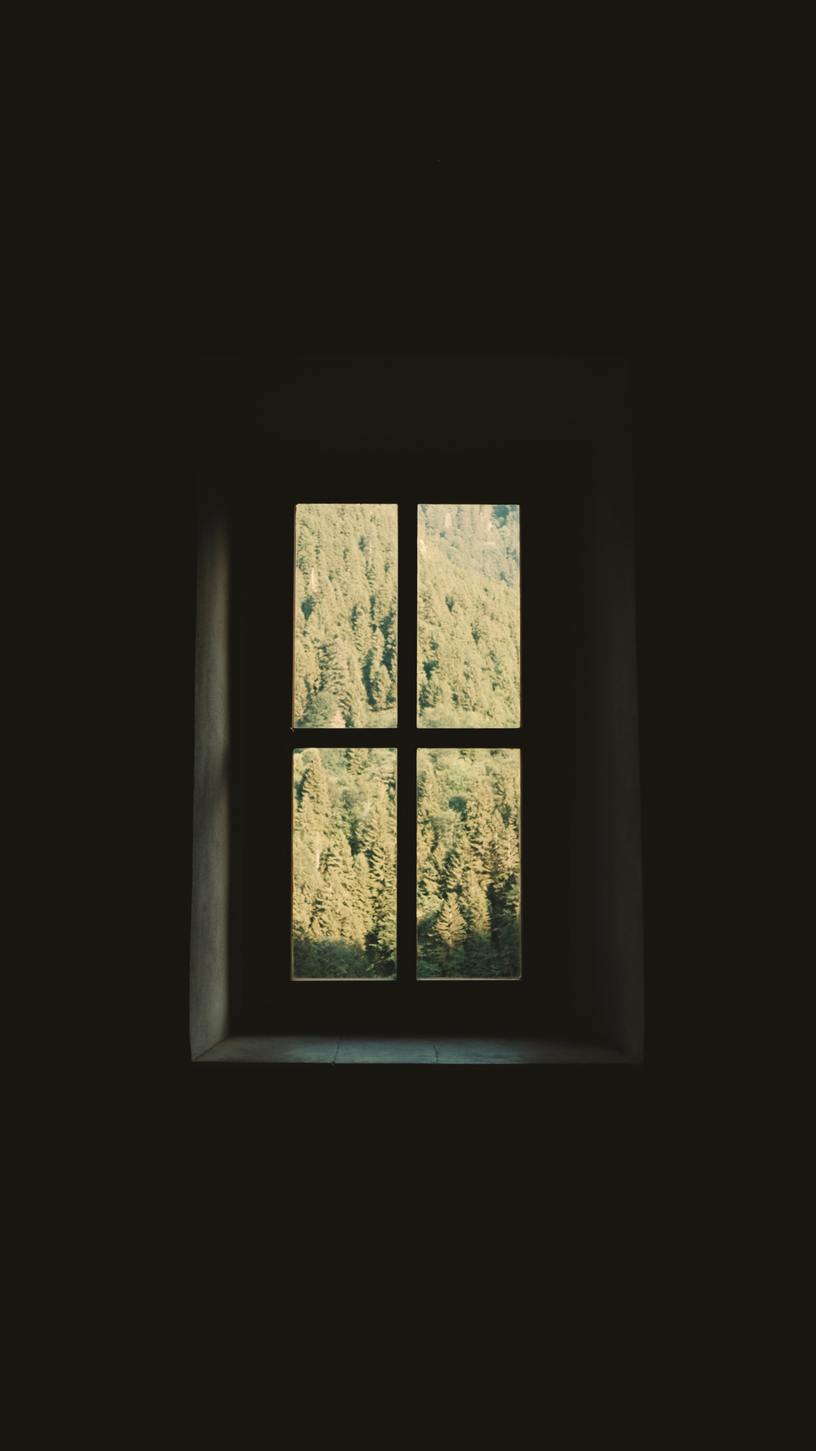 Window HD download for free