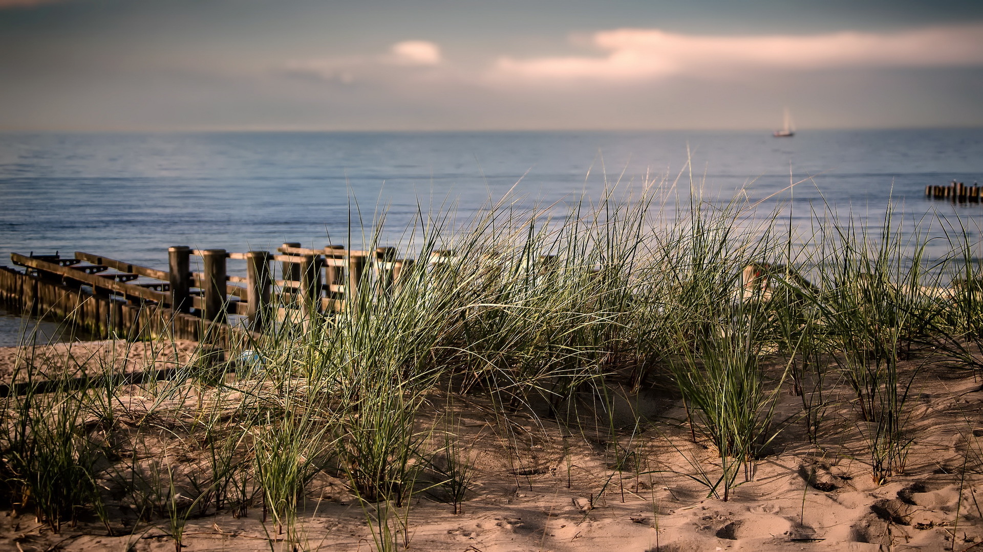 Download mobile wallpaper Nature, Grass, Beach, Sand, Horizon, Ocean, Earth for free.