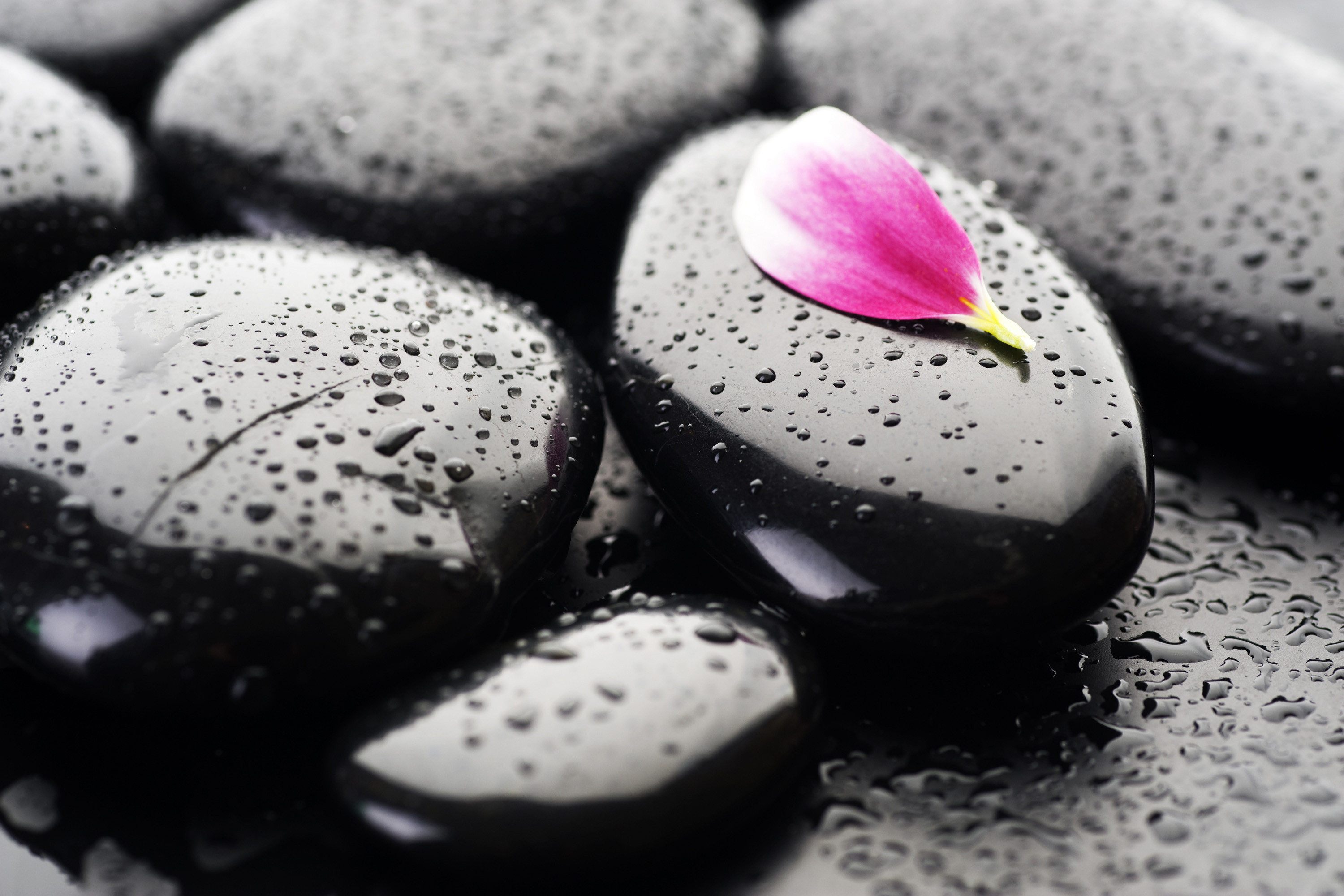 Free download wallpaper Stones, Drops, Background on your PC desktop