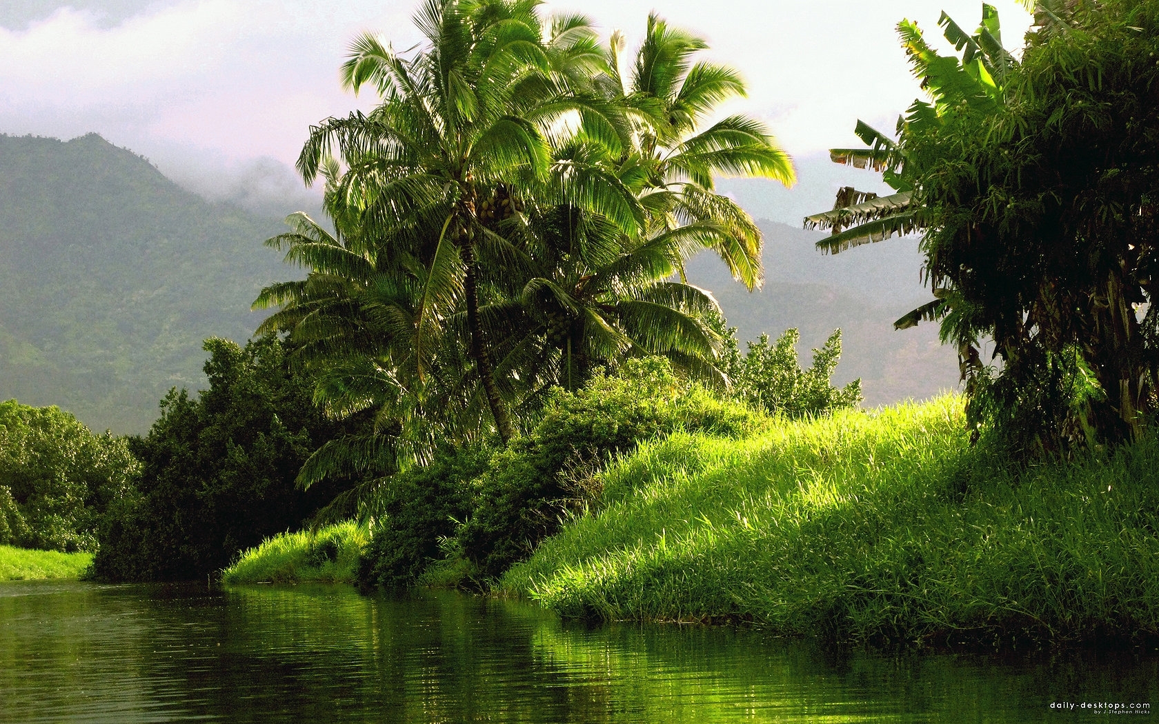 Free download wallpaper Rivers, Landscape, Palms on your PC desktop