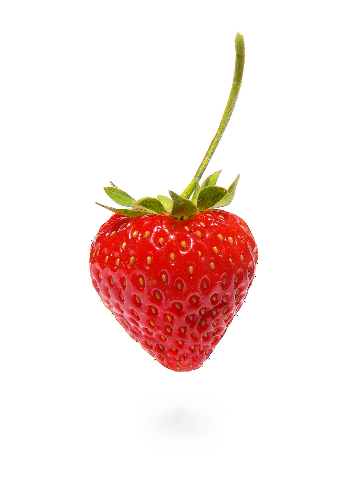 food, strawberry, berries, white