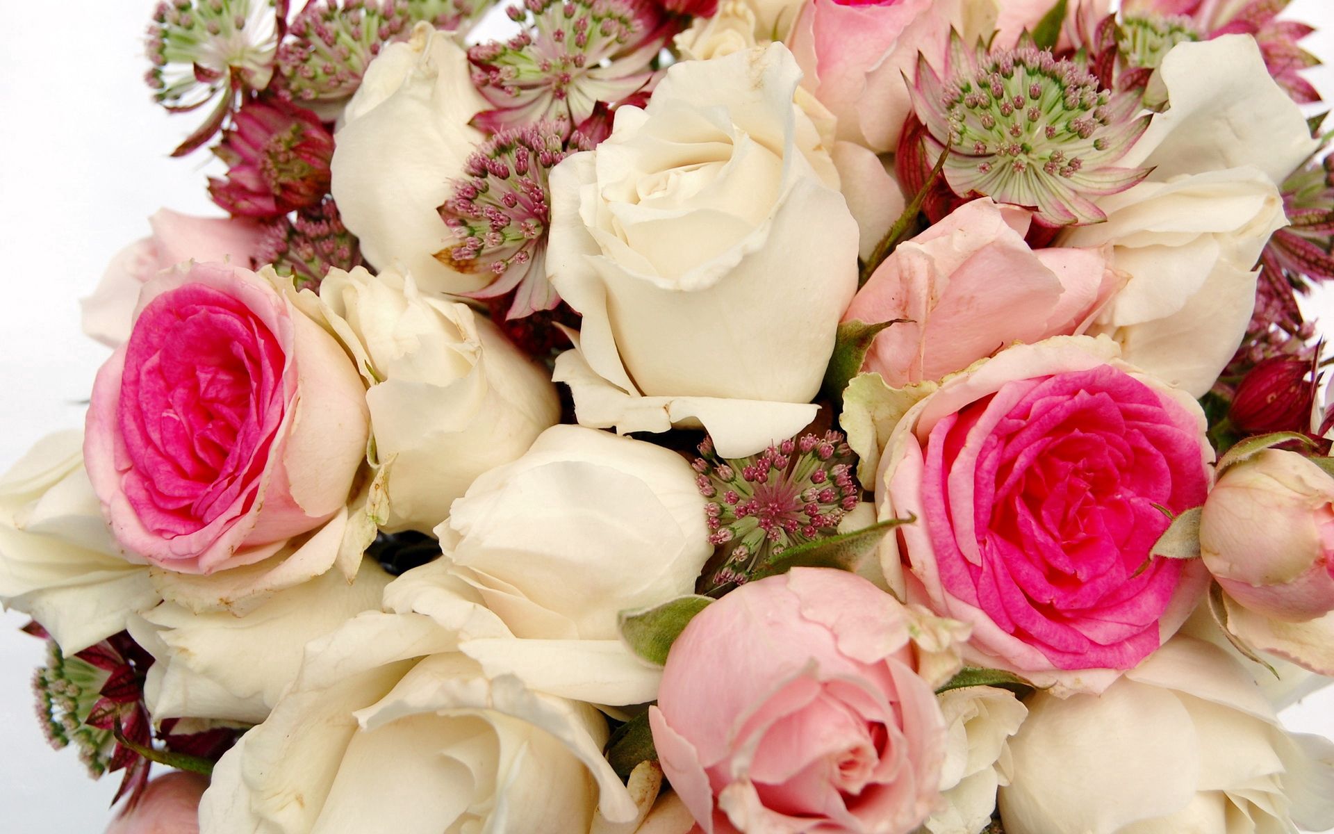 Download mobile wallpaper Close Up, Flowers, Bouquet, Buds, Roses for free.