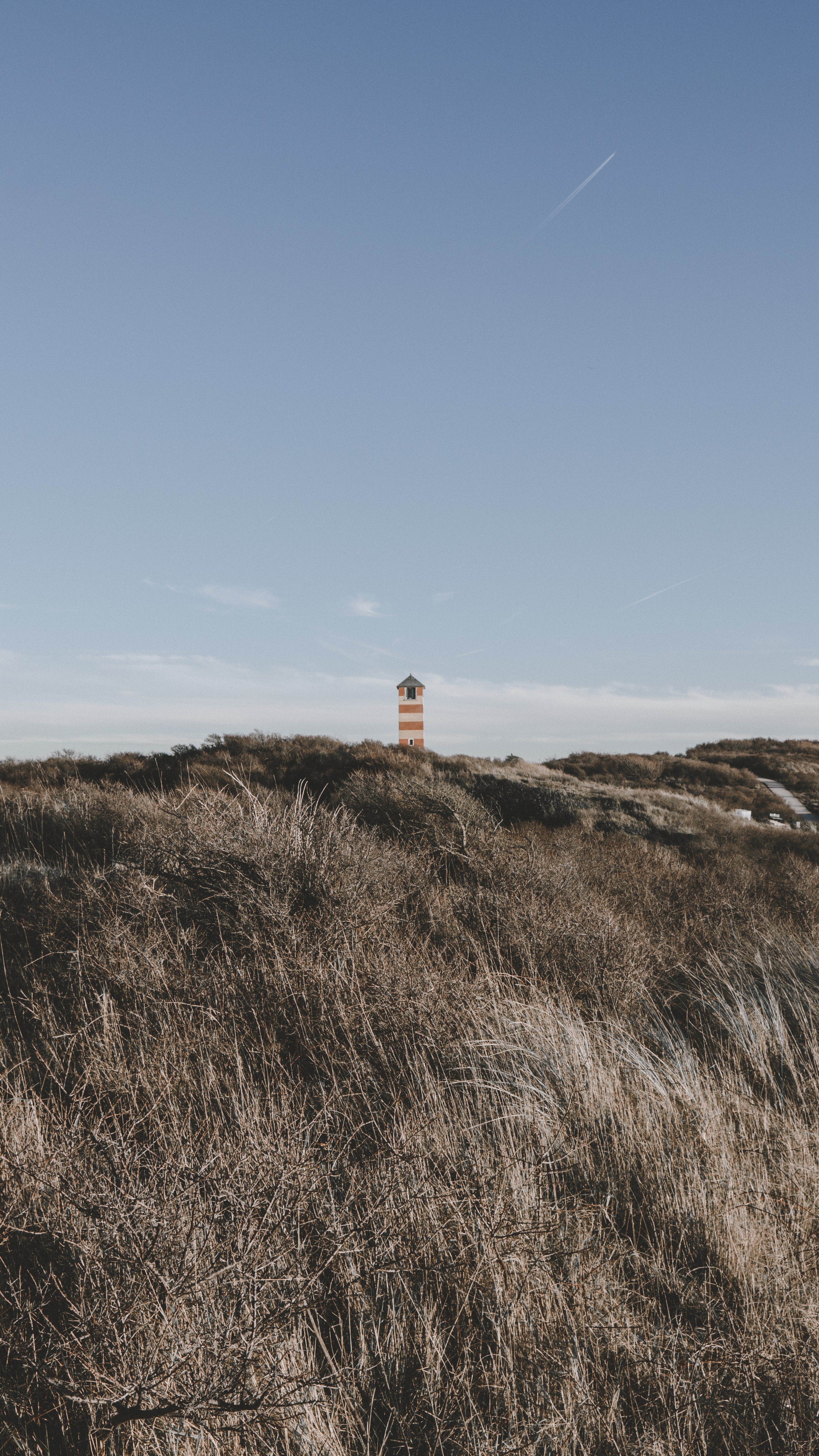 Download mobile wallpaper Grass, Bush, Tower, Nature, Lighthouse for free.