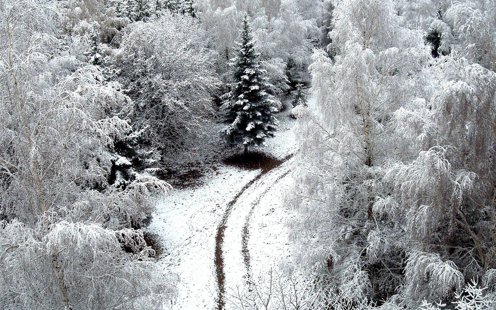 Laden Sie das Landschaft, Bäume, Winter-Bild kostenlos auf Ihren PC-Desktop herunter