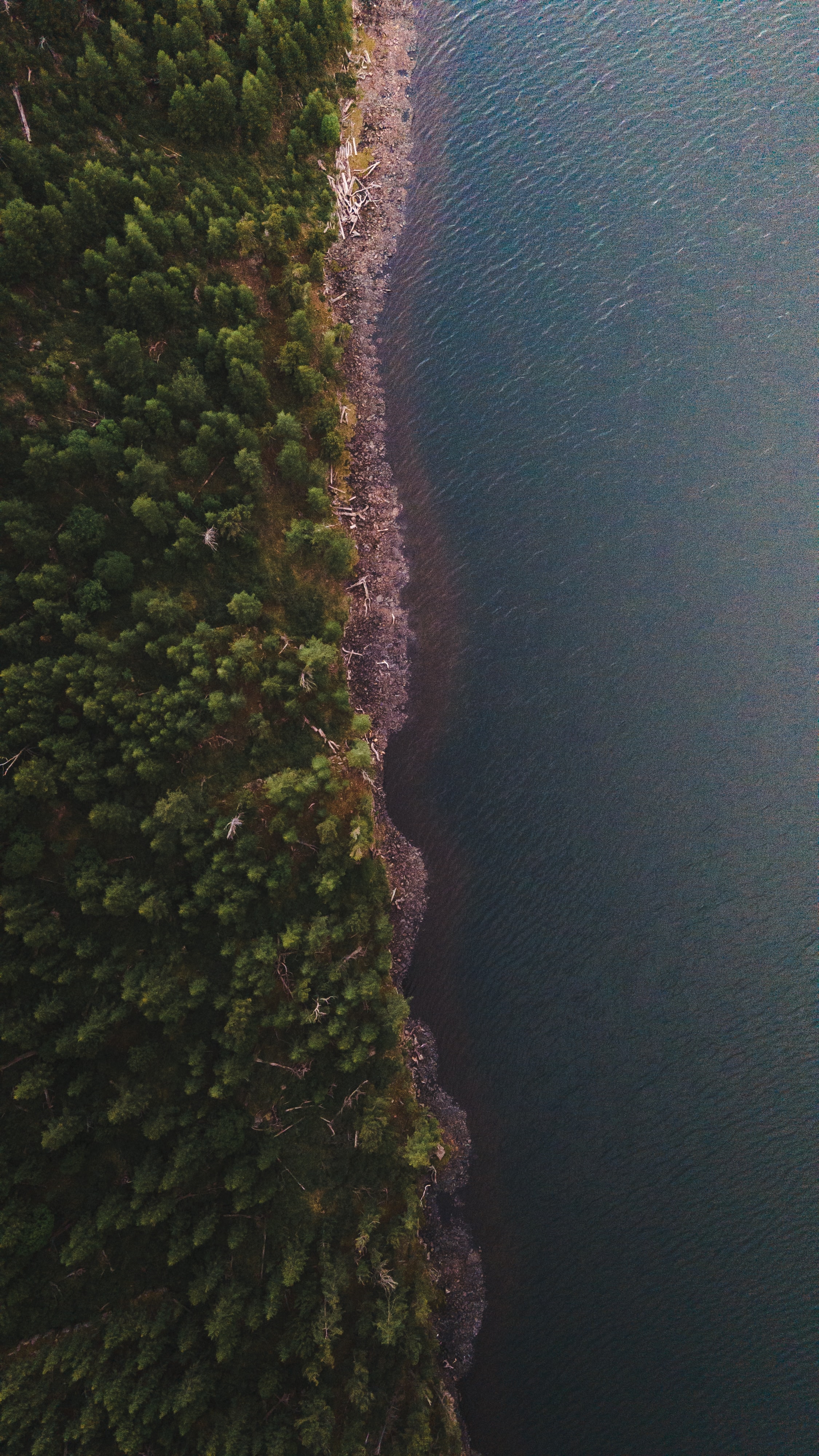 Download mobile wallpaper Coast, Forest, View From Above, Water, Nature for free.