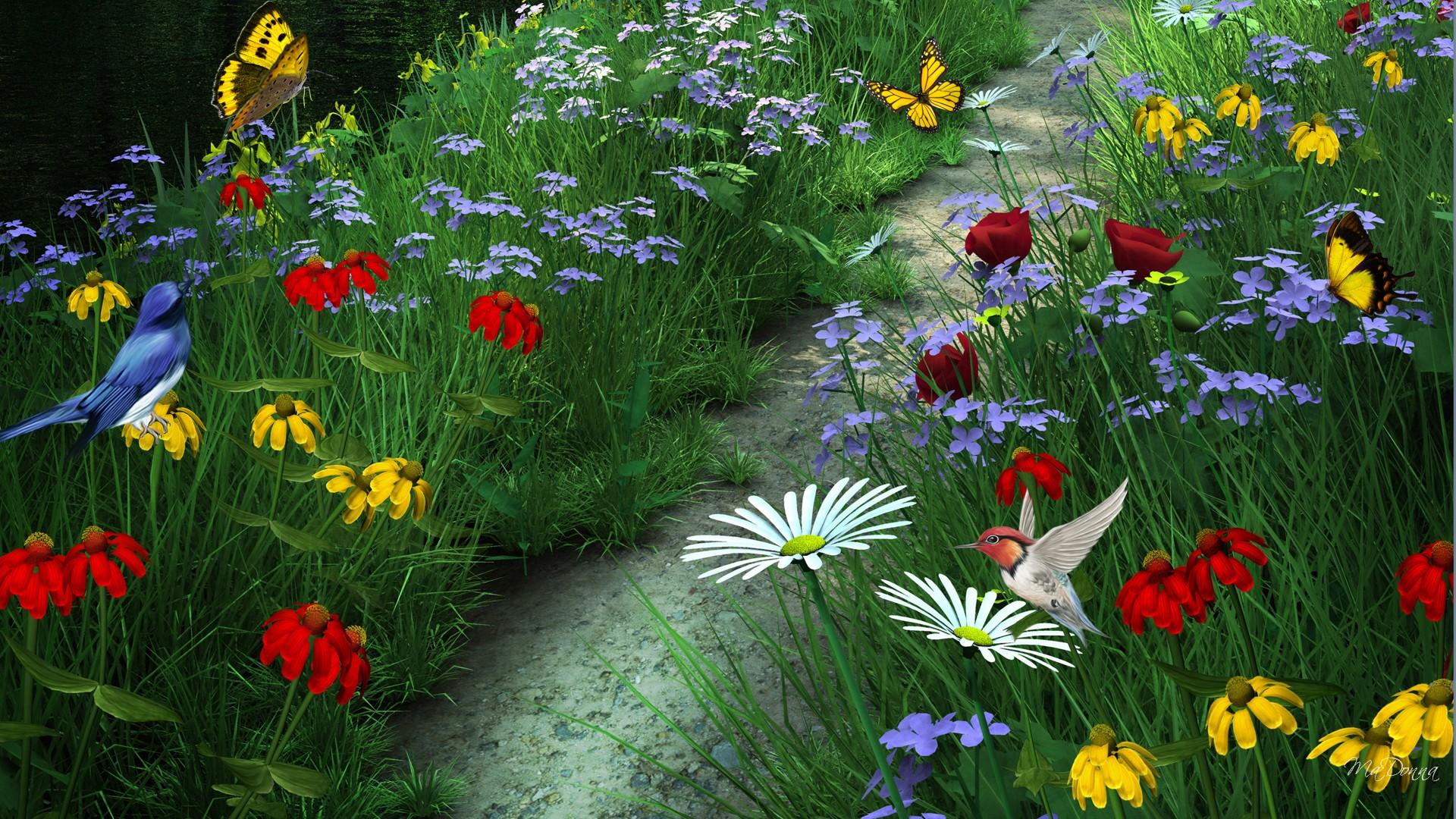 Free download wallpaper Grass, Summer, Flower, Bird, Path, Butterfly, Colorful, Artistic on your PC desktop