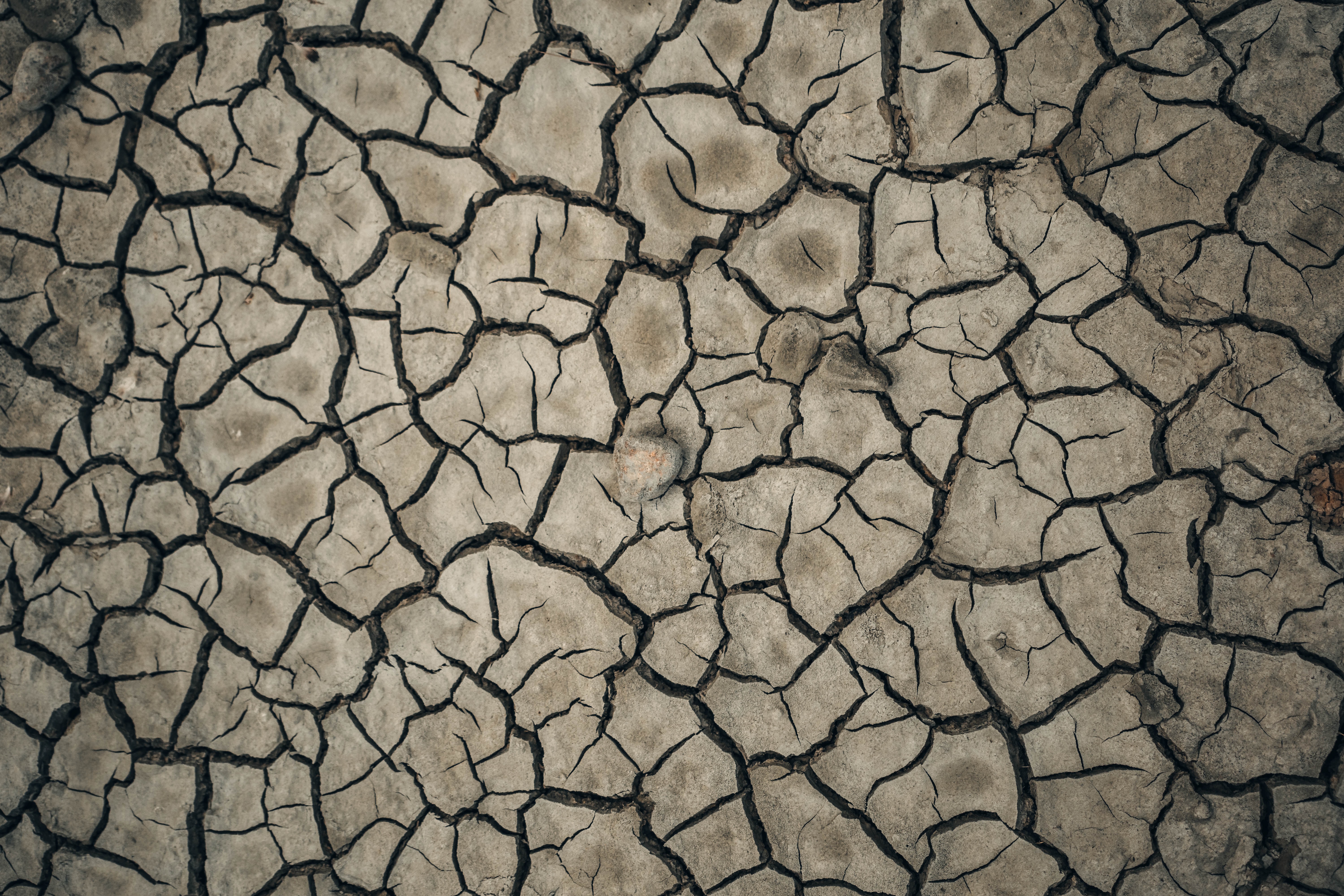 Download mobile wallpaper Land, Dry, Crack, Cracks, Texture, Textures, Earth for free.