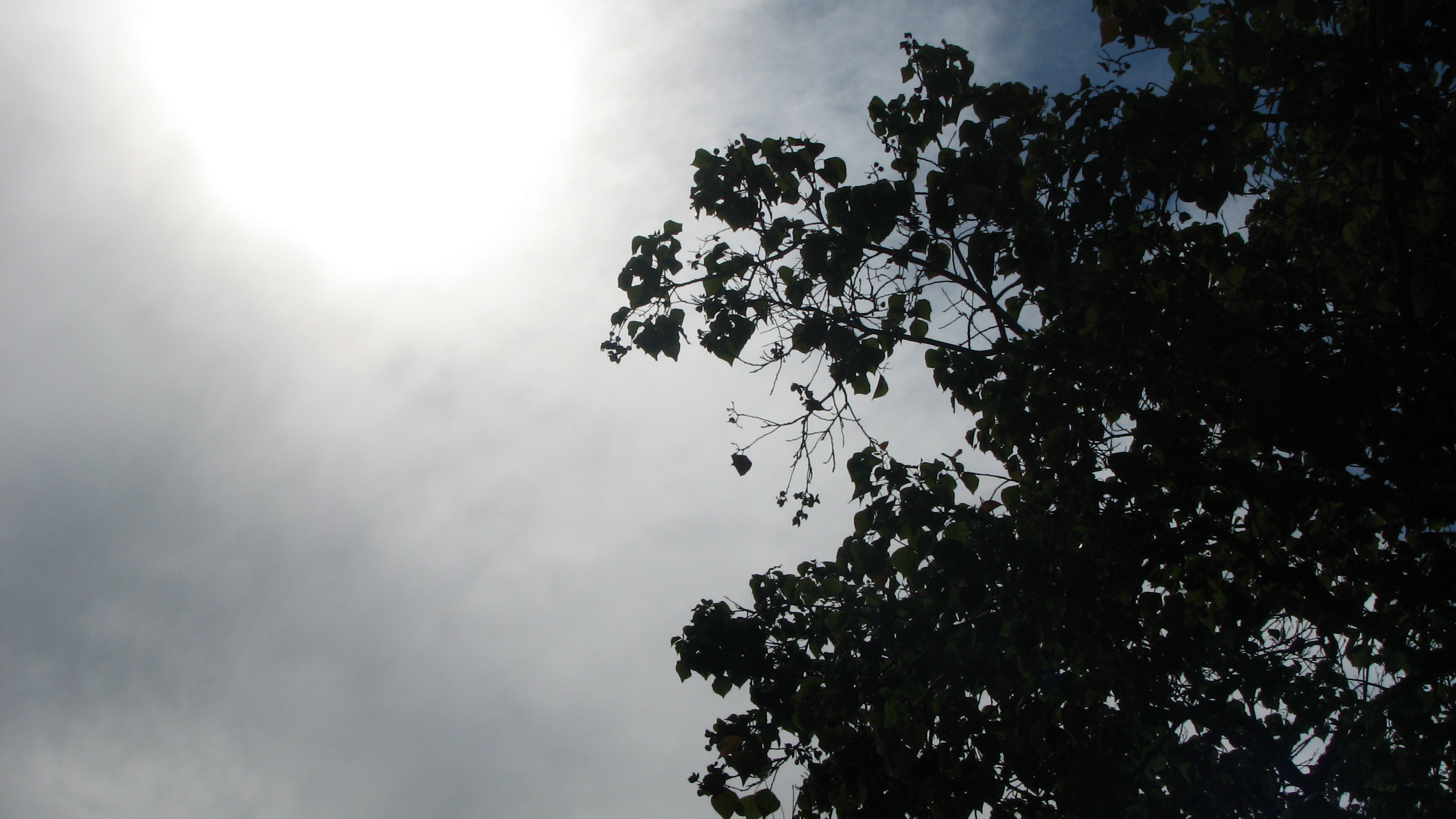 Descarga gratuita de fondo de pantalla para móvil de Tierra/naturaleza, Cielo.