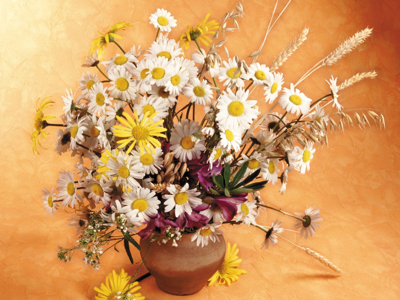 Free download wallpaper Flowers, Bouquet, Jug, Ears, Spikes, Camomile, Field on your PC desktop