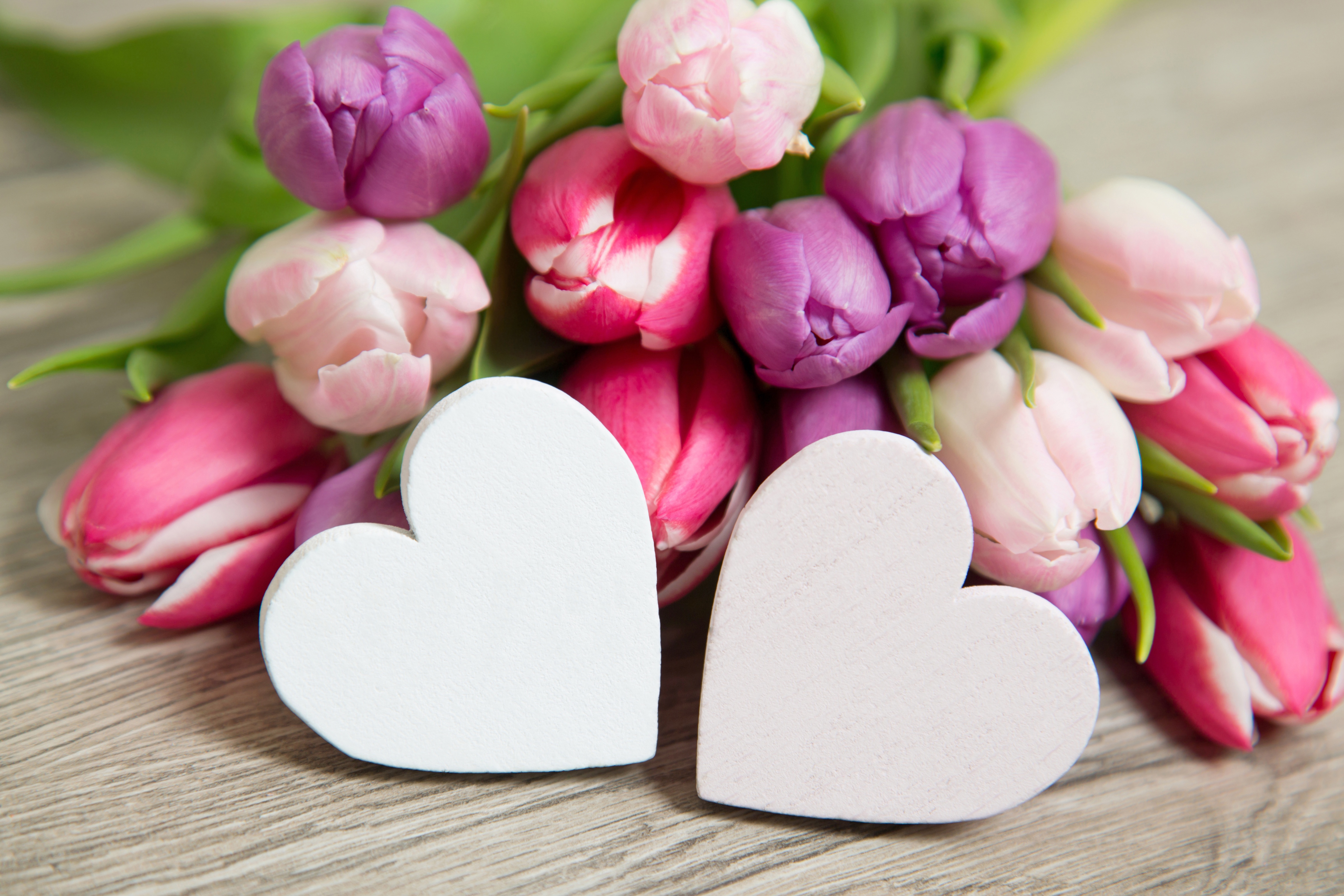 Descarga gratis la imagen Flor, Flor Rosa, Tulipán, Fotografía, Romántico, Parejas, En Forma De Corazón en el escritorio de tu PC