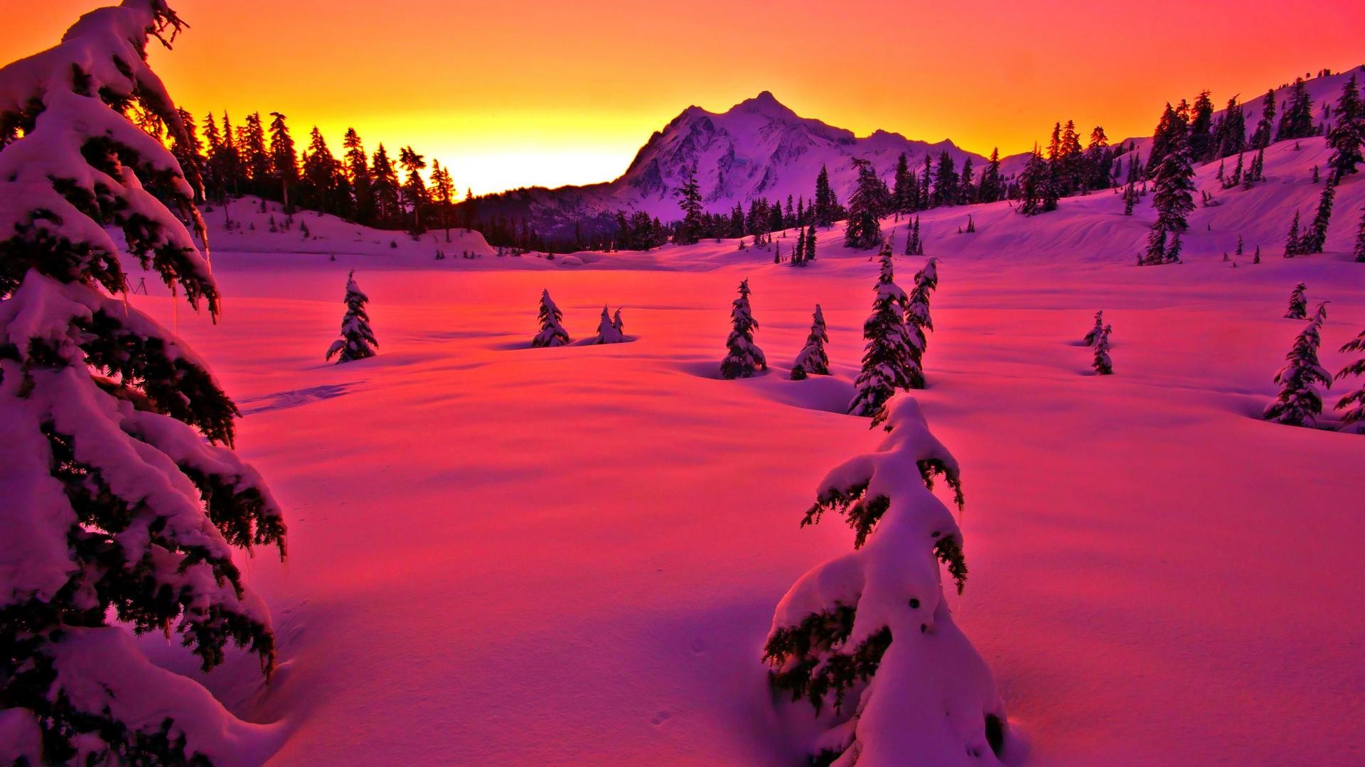 Скачать картинку Зима, Снег, Лес, Дерево, Розовый, Земля/природа, Закат Солнца в телефон бесплатно.