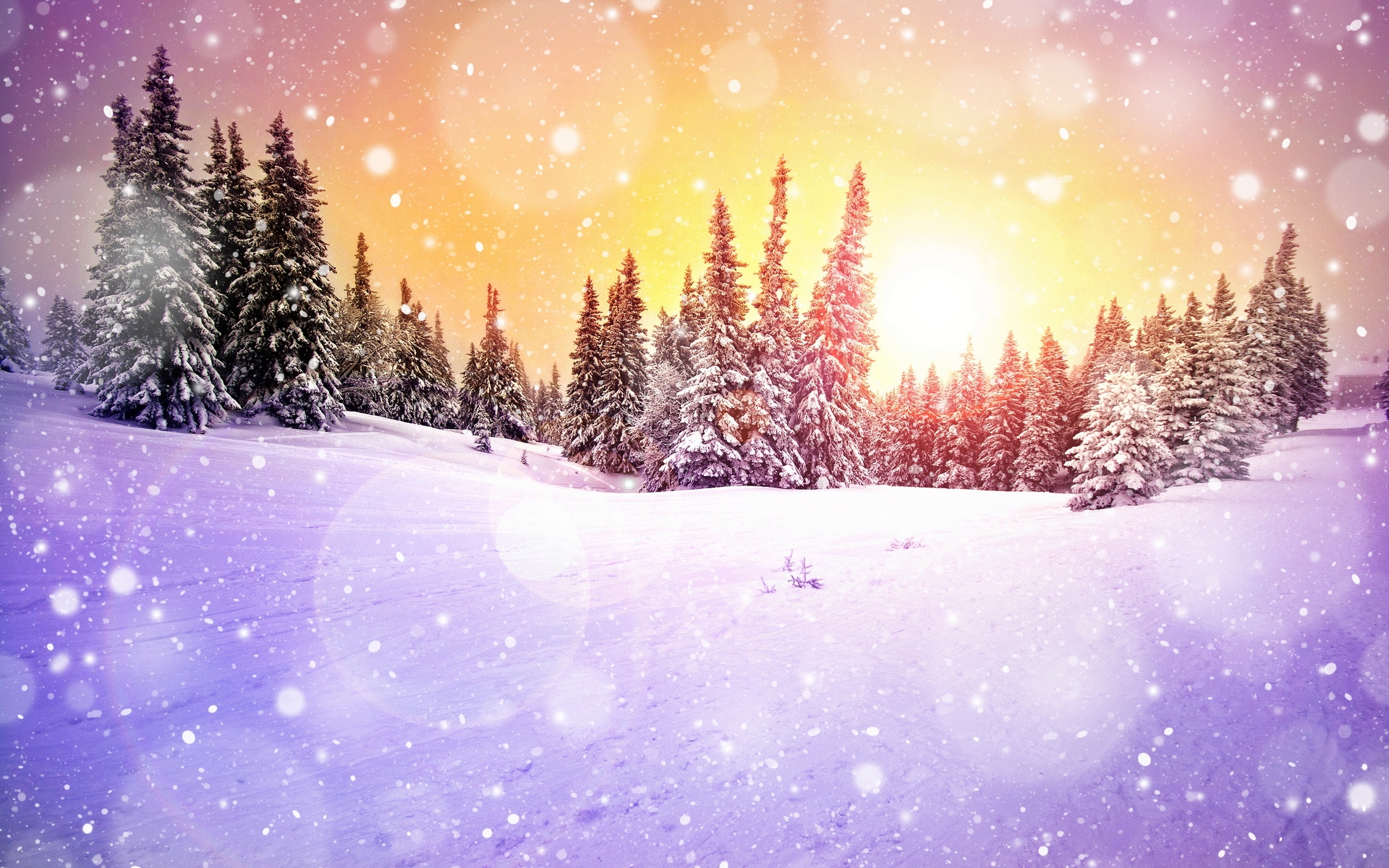 Скачать картинку Зима, Пейзаж, Деревья в телефон бесплатно.