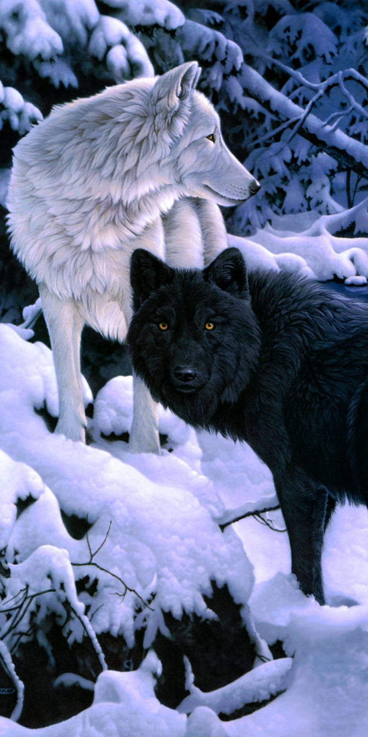 Baixar papel de parede para celular de Animais, Lobos, Inverno, Neve, Lobo gratuito.