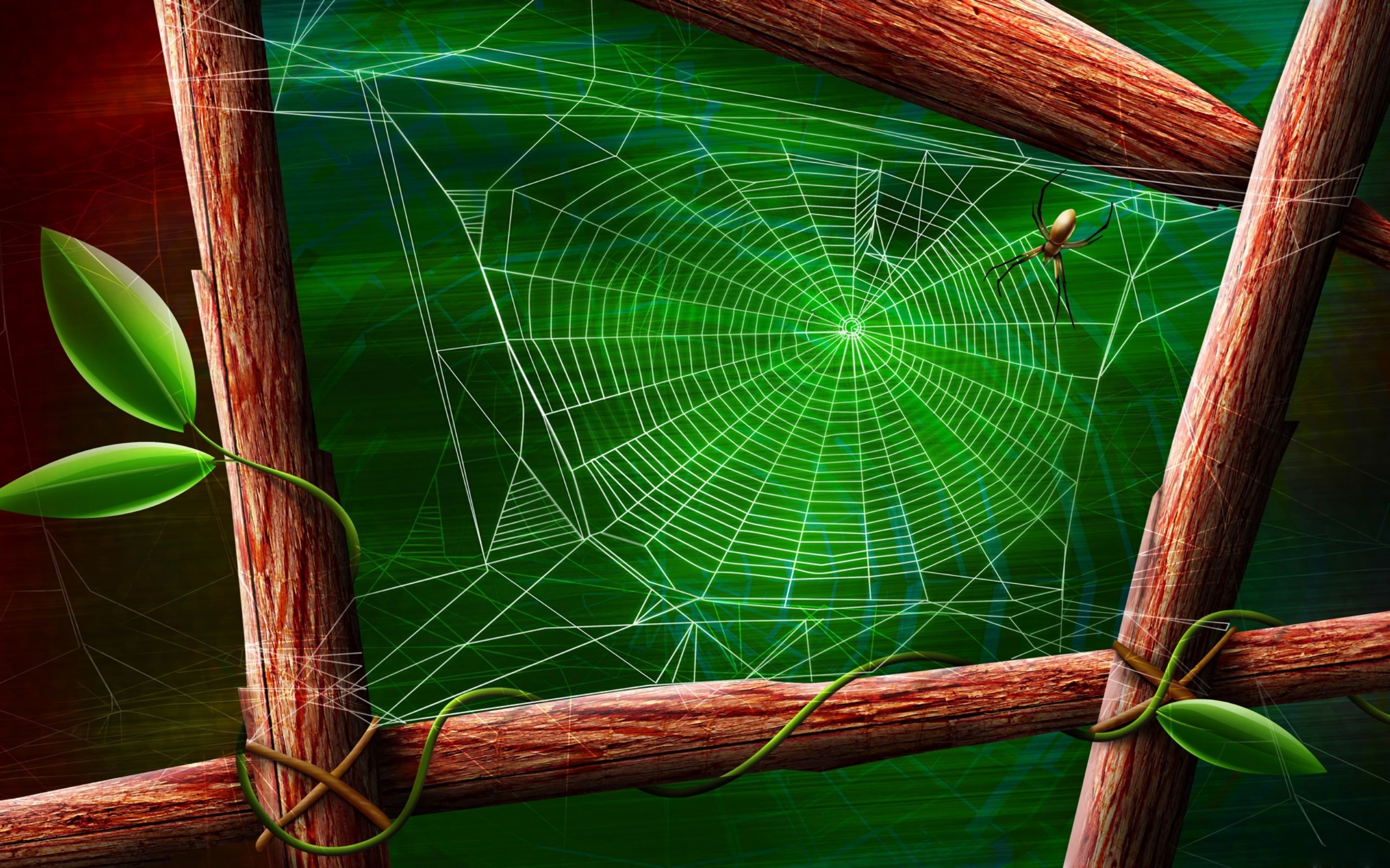 Download mobile wallpaper Wood, Artistic, Spider, Spider Web for free.