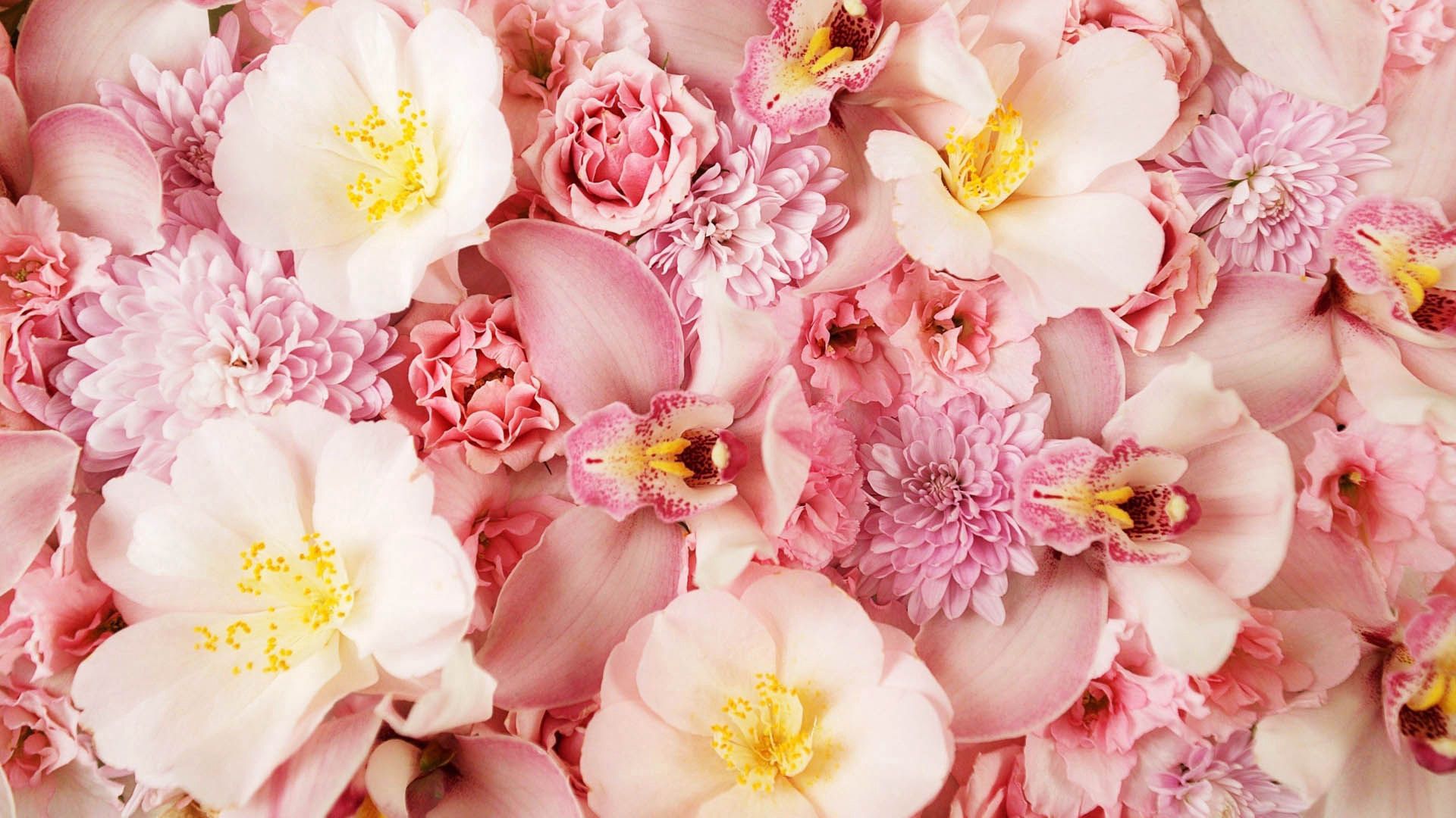 Téléchargez gratuitement l'image Rose, Pétales, Macro, Fleurs sur le bureau de votre PC