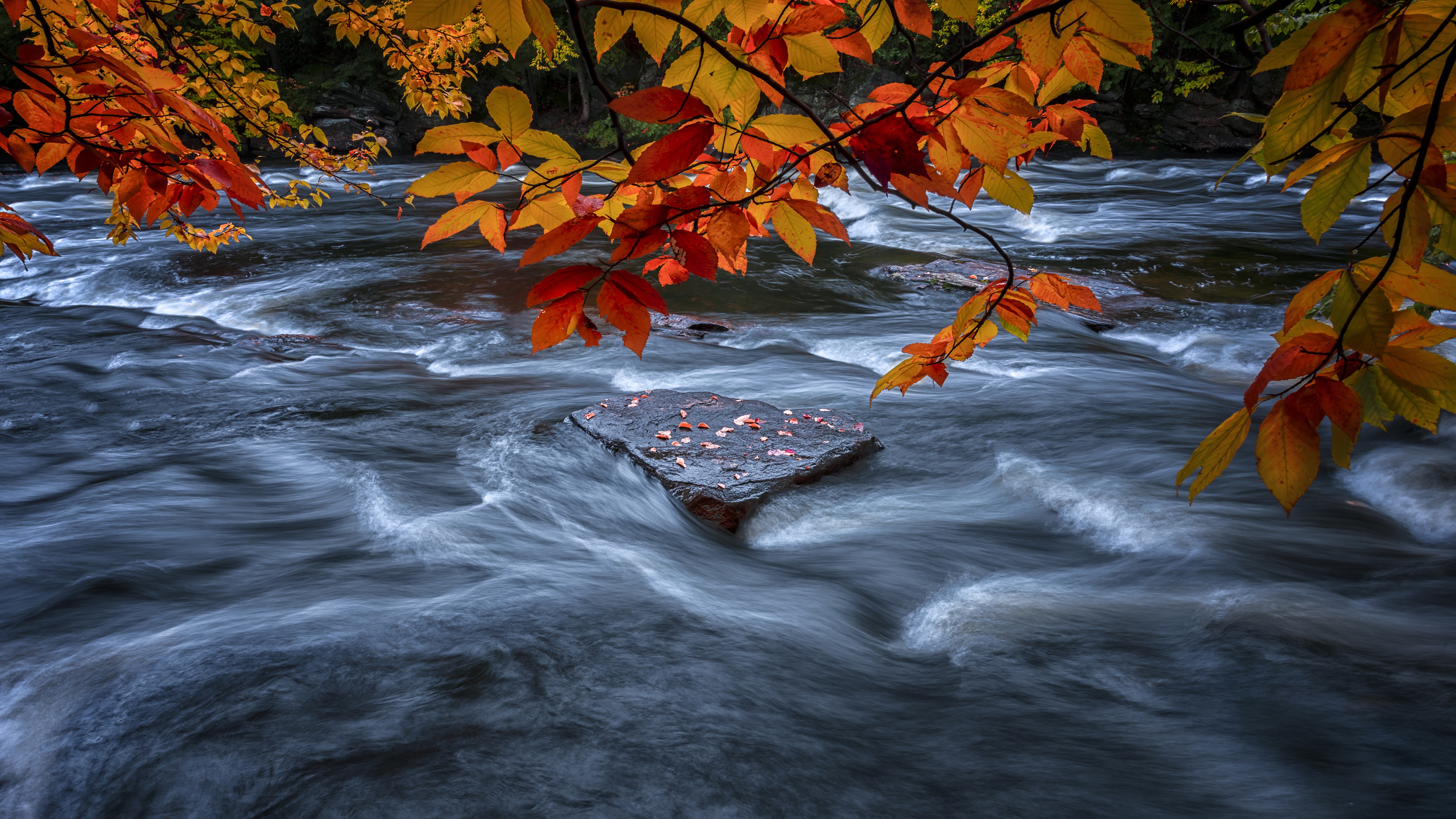 Handy-Wallpaper Herbst, Blatt, Ast, Fluss, Stein, Strom, Erde/natur kostenlos herunterladen.