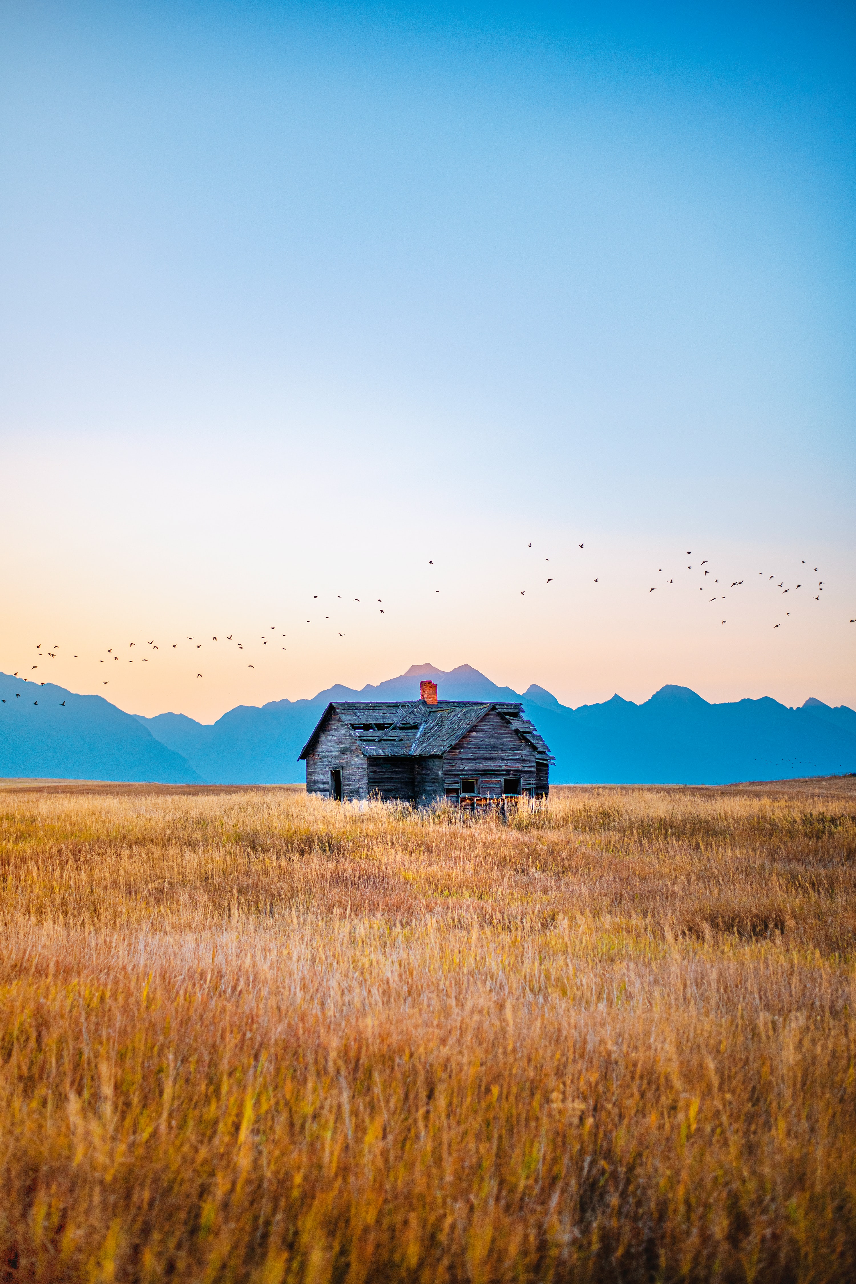 Download mobile wallpaper Field, Grass, Mountains, Nature, House, Birds for free.