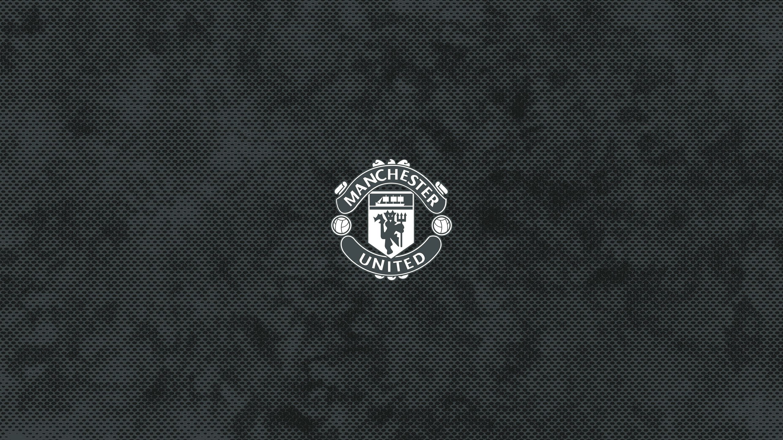 Laden Sie das Sport, Fußball, Symbol, Logo, Emblem, Kamm, Manchester United-Bild kostenlos auf Ihren PC-Desktop herunter