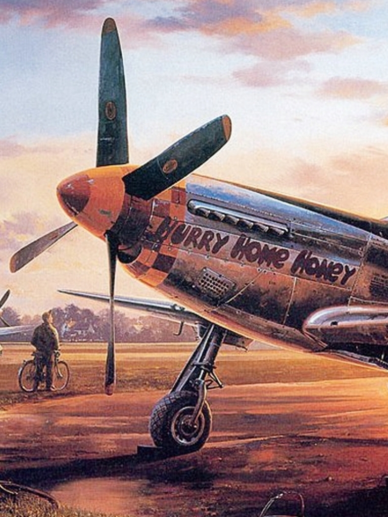 Скачать картинку Военные, Вторая Мировая Война, Североамериканский P 51 Мустанг, Военный Самолет в телефон бесплатно.