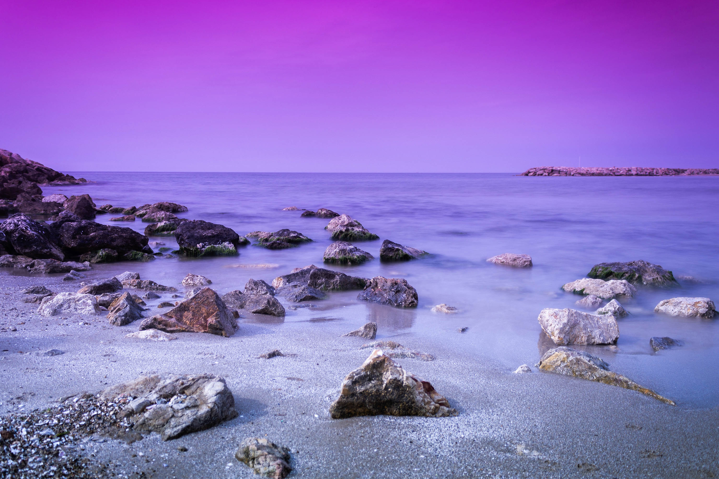 Скачать картинку Пляж, Горизонт, Пурпурный, Земля/природа в телефон бесплатно.