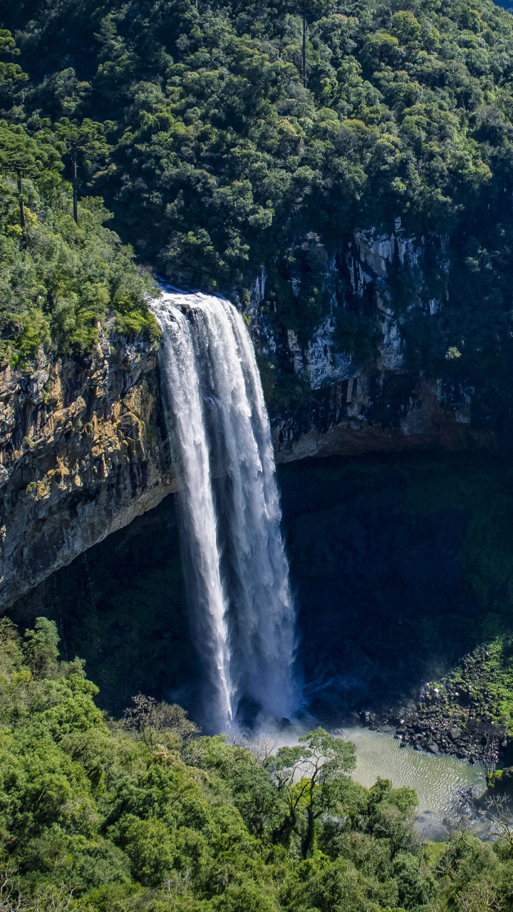 earth, caracol falls, waterfall, nature, forest, brazil, waterfalls HD wallpaper