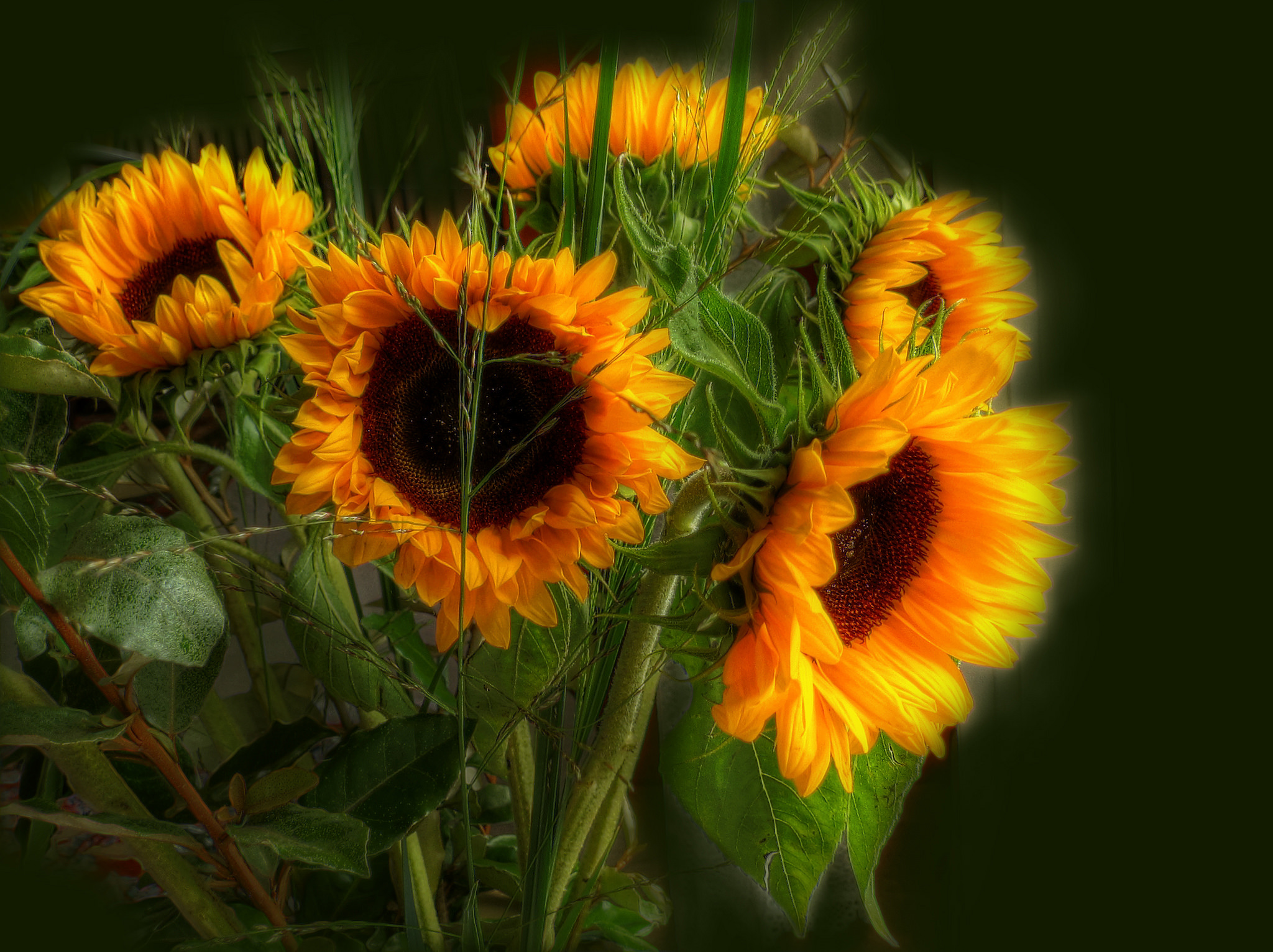 Free download wallpaper Flowers, Flower, Earth, Sunflower, Yellow Flower on your PC desktop