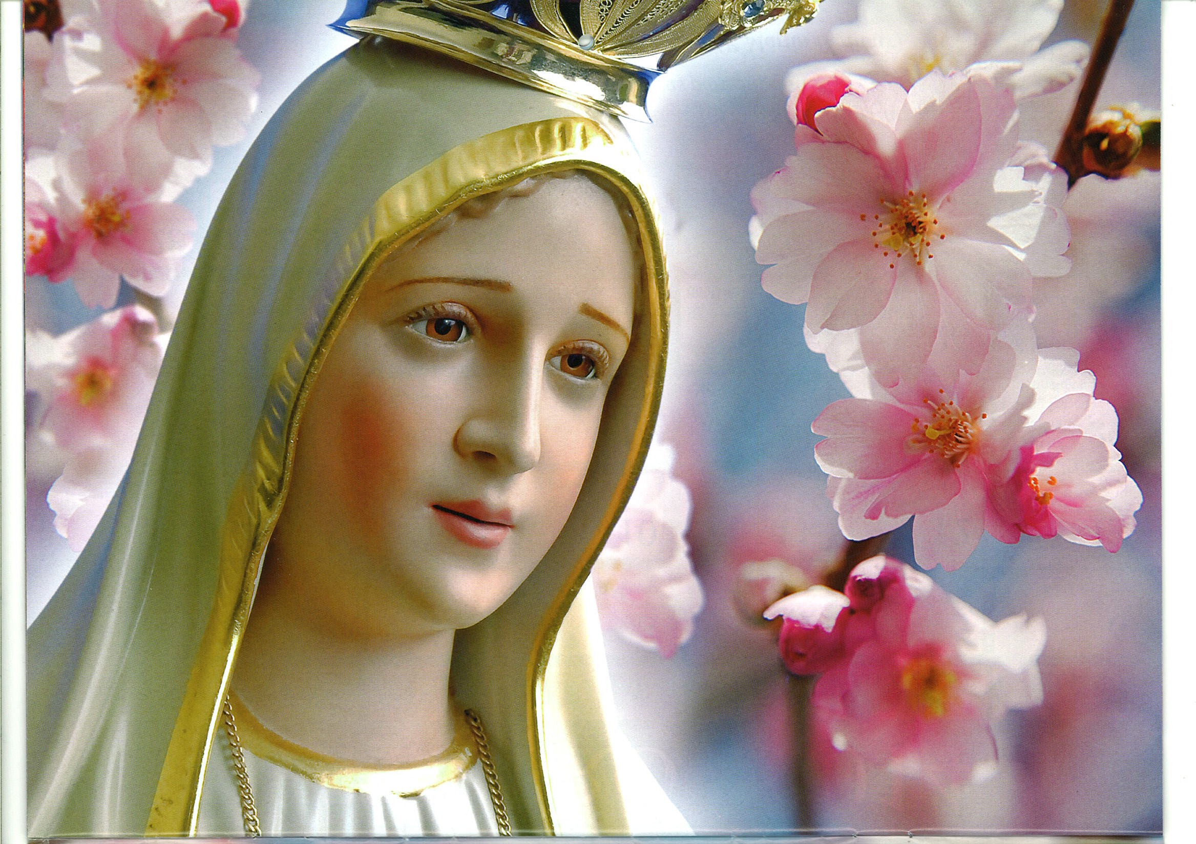 657469壁紙のダウンロード宗教的, メアリー, マリア（イエスの母）, ファティマの聖母-スクリーンセーバーと写真を無料で
