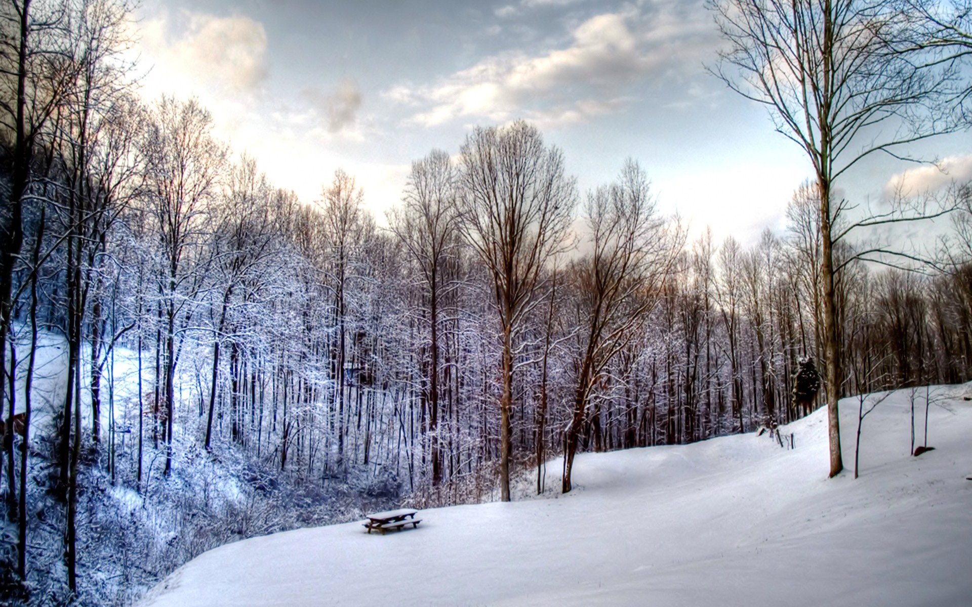 Téléchargez gratuitement l'image Hiver, Terre/nature sur le bureau de votre PC