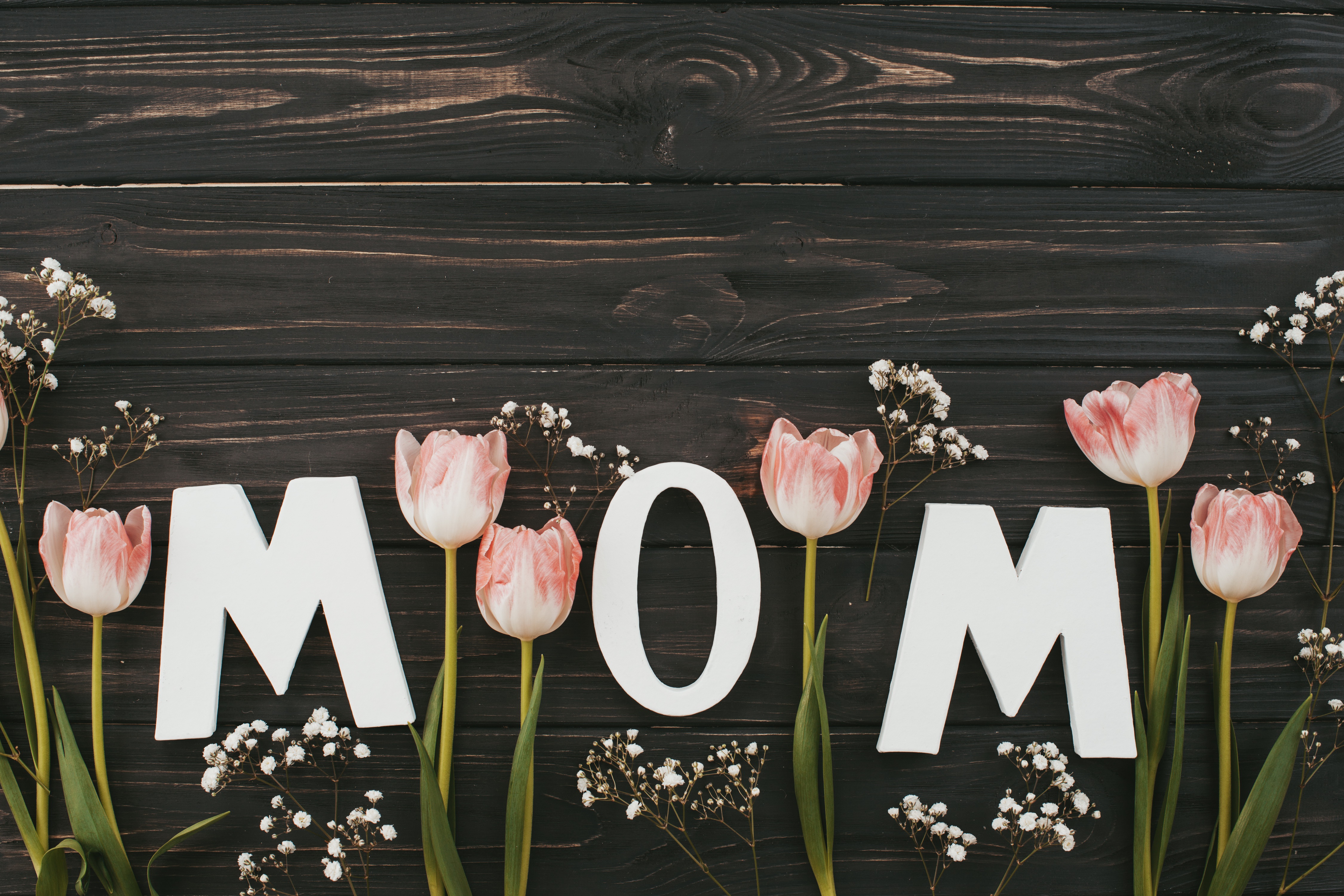 Скачать обои бесплатно Цветок, Тюльпан, Праздничные, Розовый Цветок, День Матери картинка на рабочий стол ПК