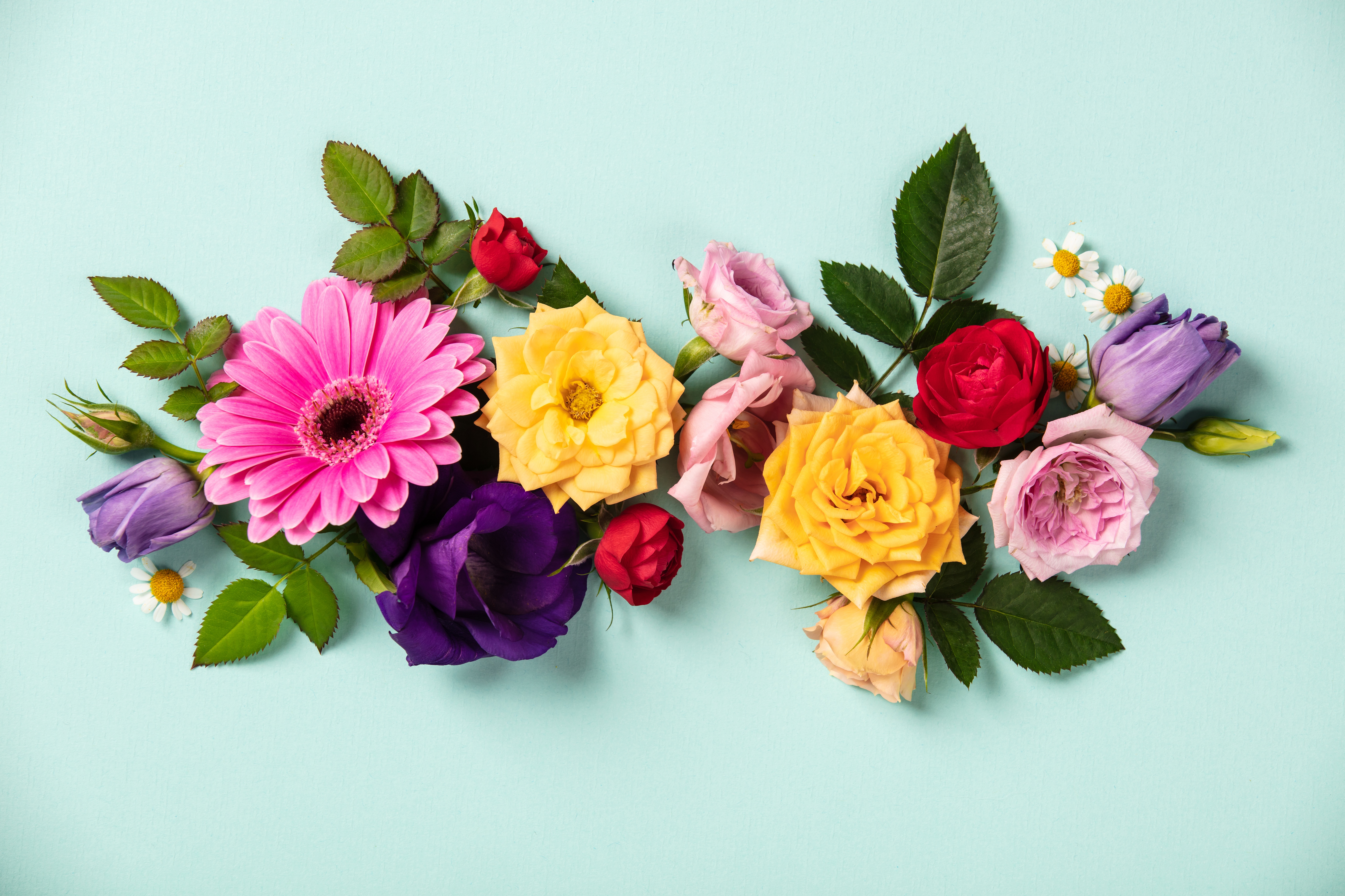 Download mobile wallpaper Flower, Rose, Leaf, Colors, Tulip, Gerbera, Man Made for free.