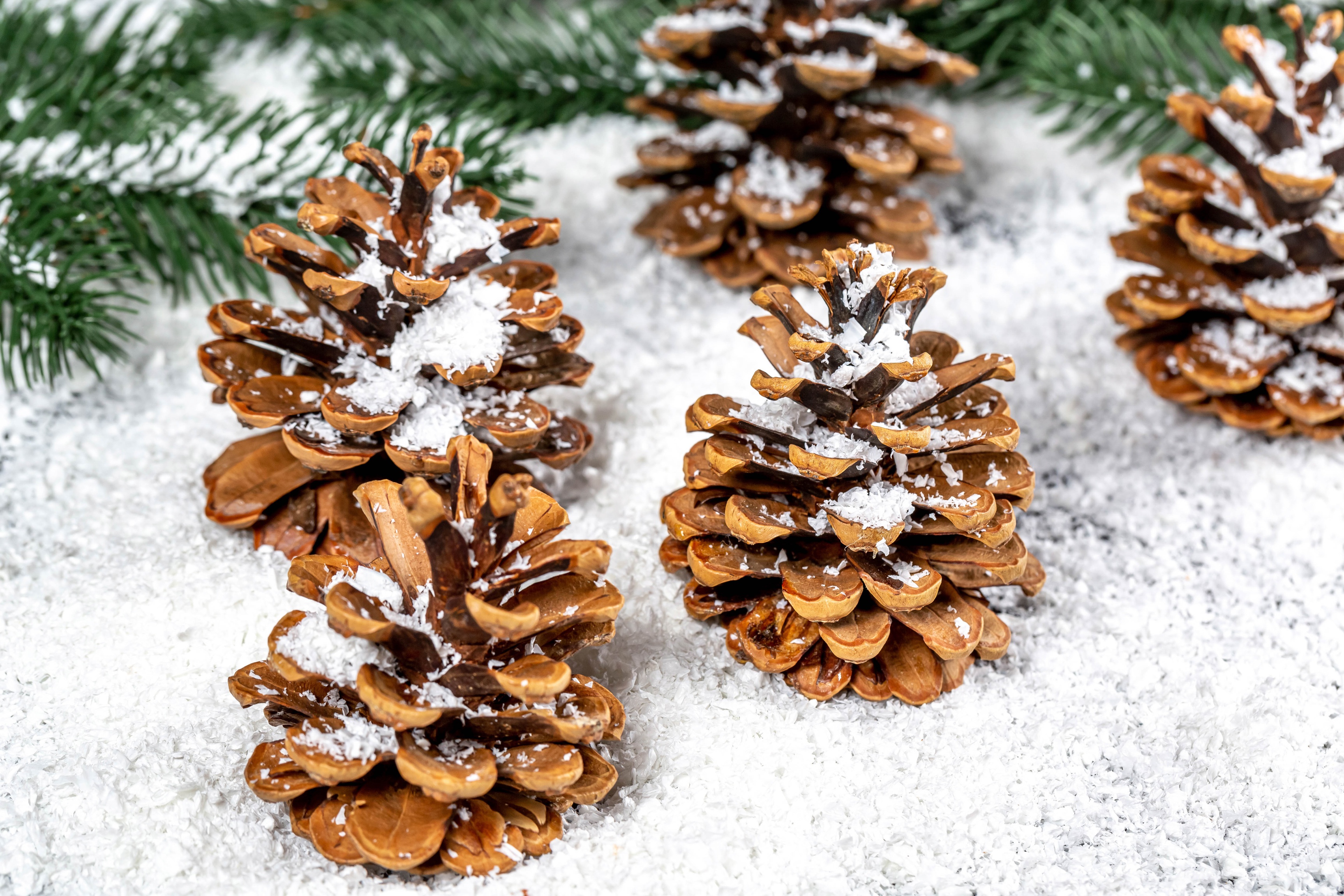 Free download wallpaper Snow, Christmas, Holiday, Pine Cone on your PC desktop