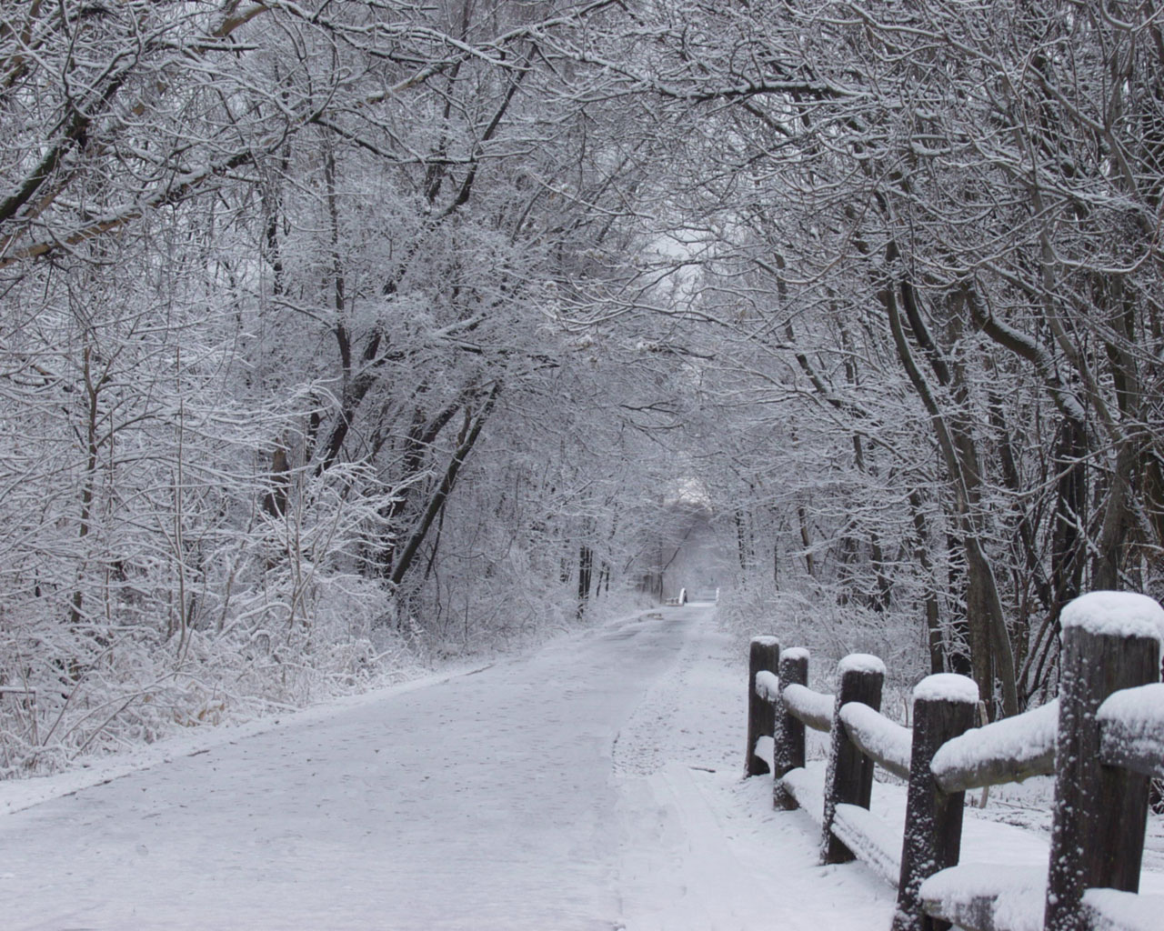 Baixe gratuitamente a imagem Inverno, Estrada, Terra/natureza na área de trabalho do seu PC