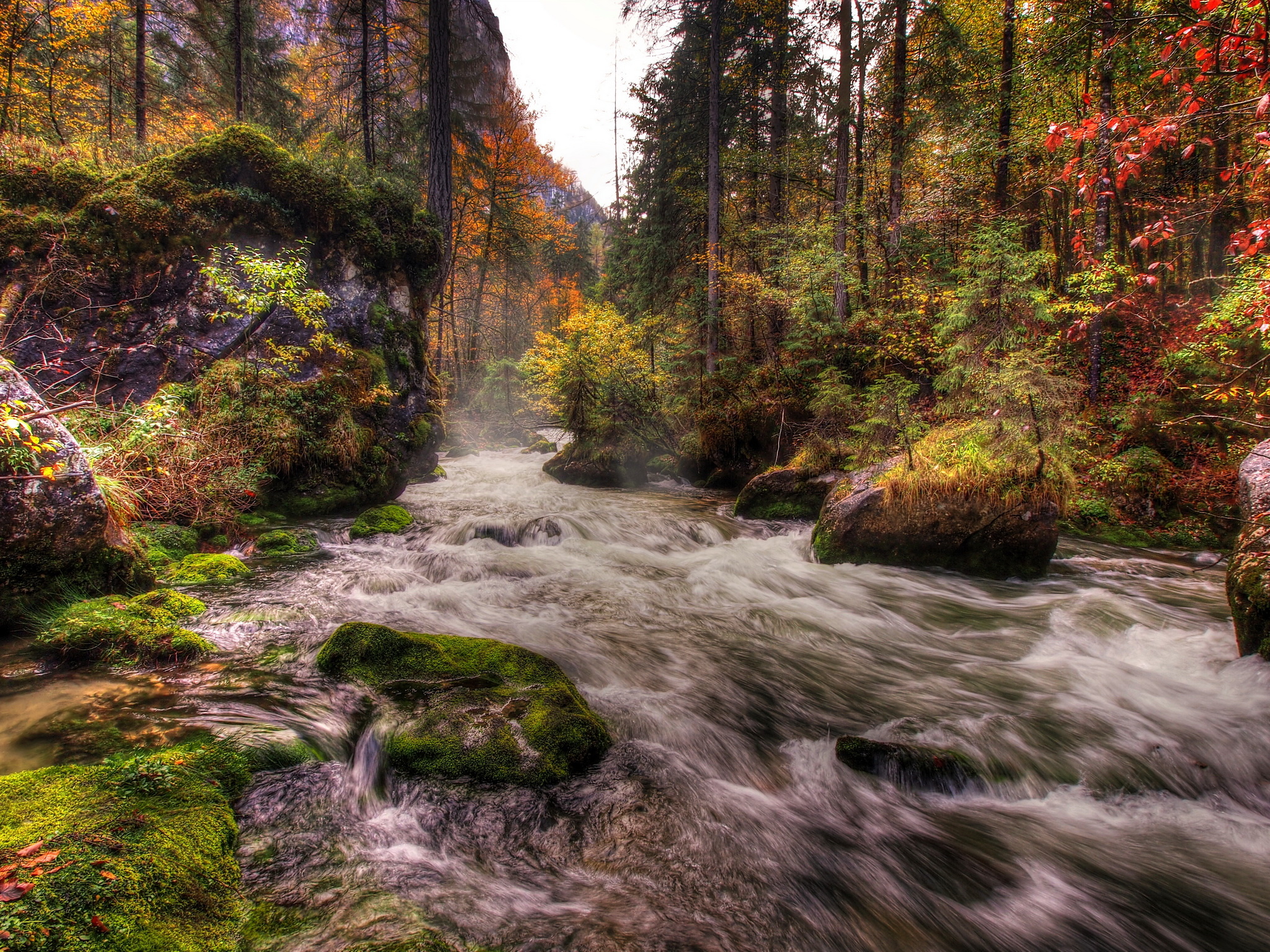 Download mobile wallpaper Nature, Fall, Earth, Stream, Hdr, River for free.