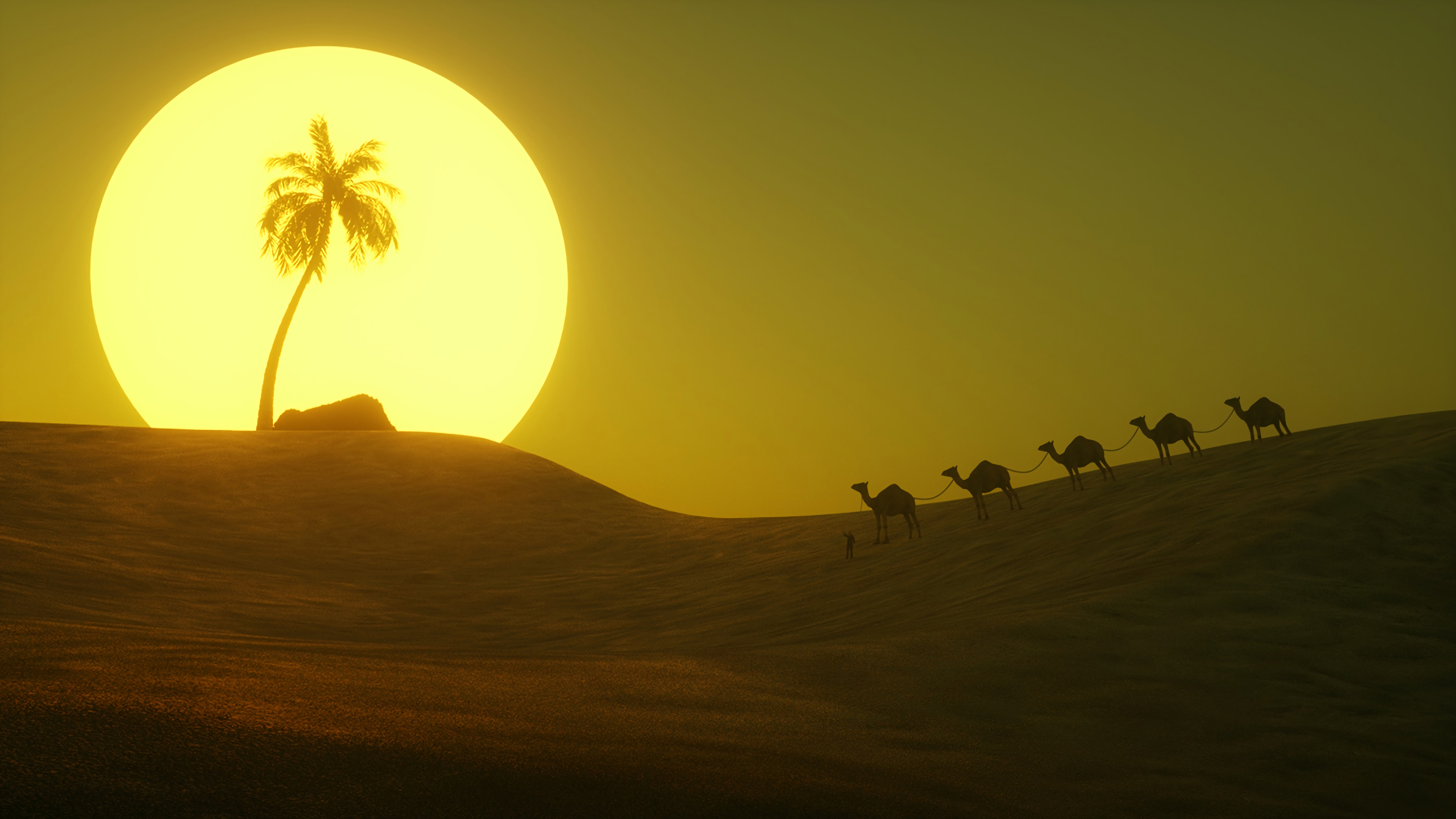 desert, palm, art, sun, hill Full HD