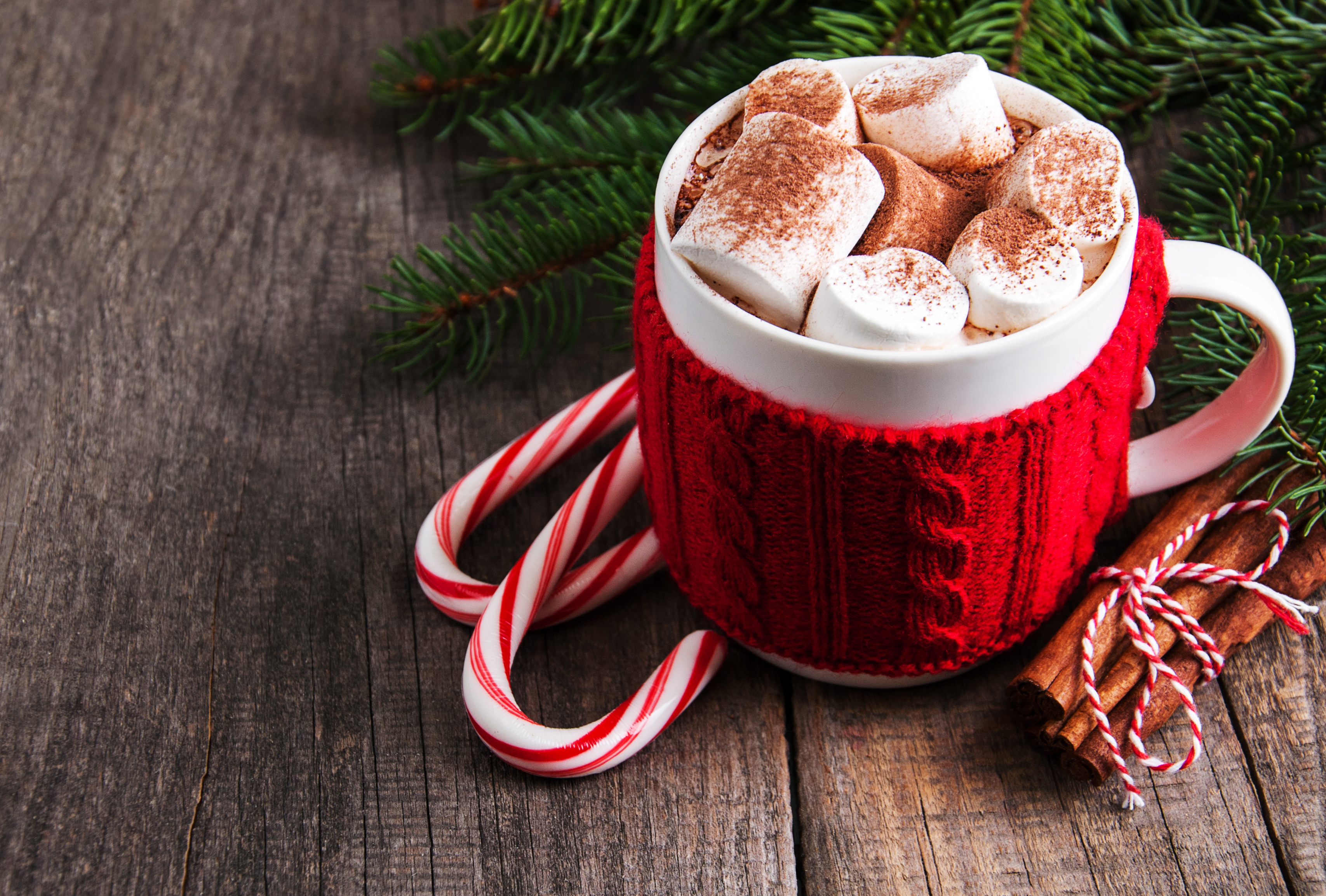 Free download wallpaper Food, Cup, Marshmallow, Hot Chocolate, Candy Cane on your PC desktop