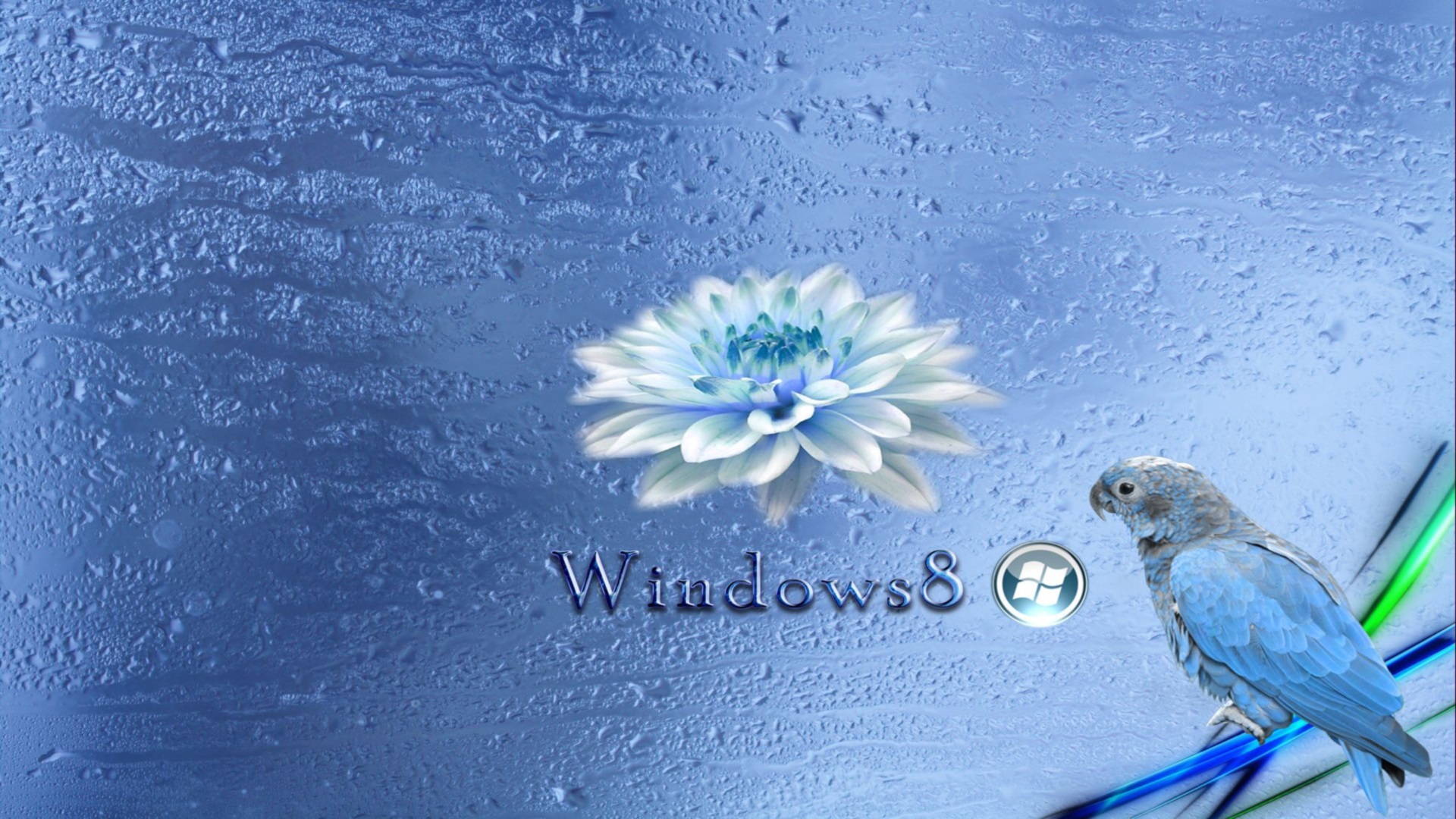 319129 Protetores de tela e papéis de parede Windows 8 em seu telefone. Baixe  fotos gratuitamente